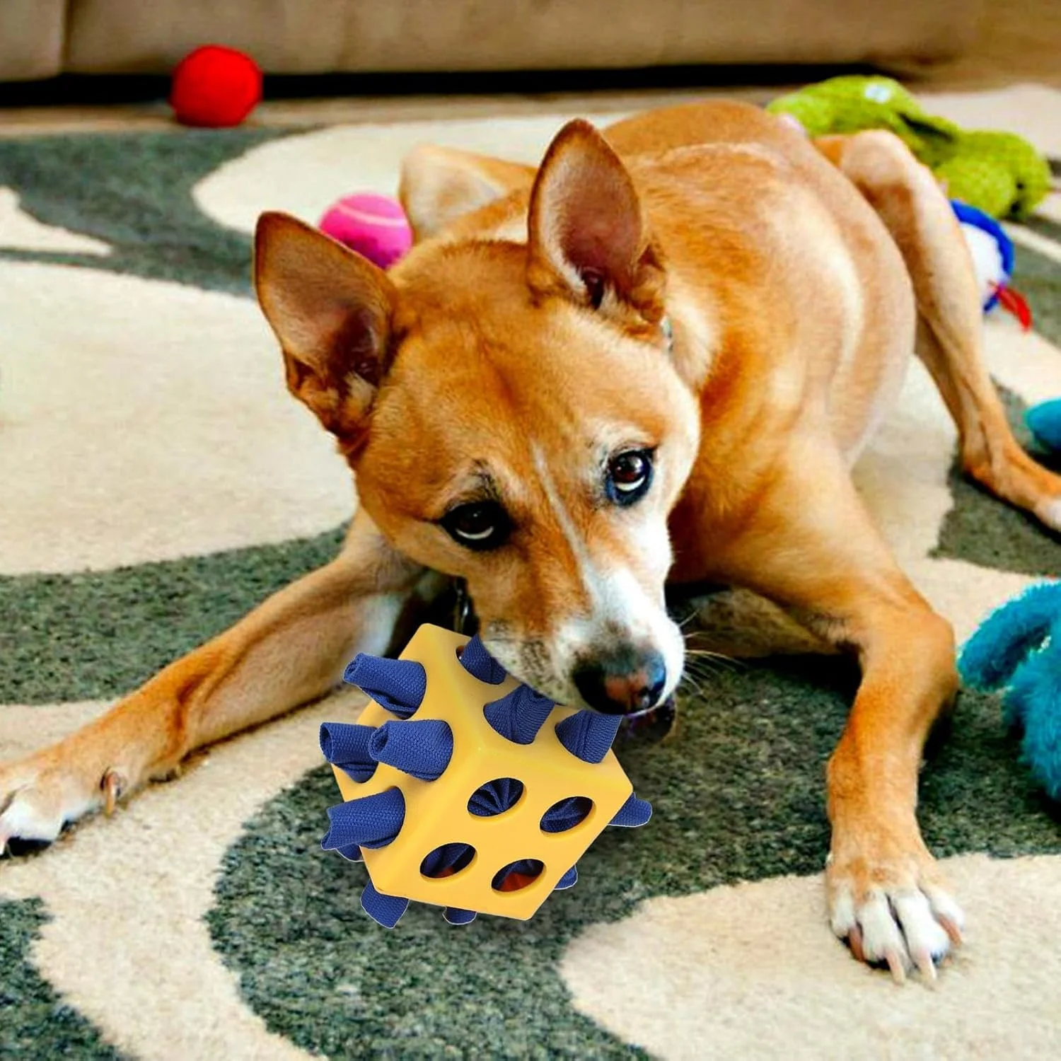توپ پازلی غذا برای سگ - پخش کننده تشویقی توله سگ، اسباب بازی پازلی آهسته خوراک سگ، اسباب بازی تحریک ذهنی حیوان خانگی برای کاهش استرس، آموزش در فضای داخلی و خارجی