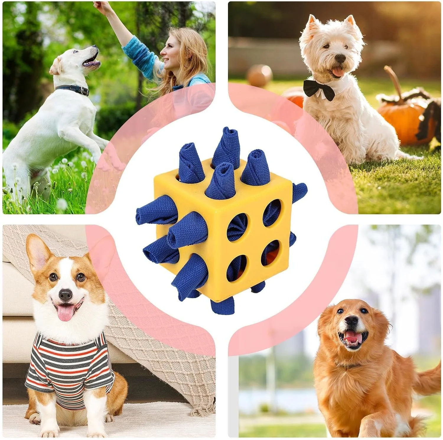 توپ پازلی غذا برای سگ - پخش کننده تشویقی توله سگ، اسباب بازی پازلی آهسته خوراک سگ، اسباب بازی تحریک ذهنی حیوان خانگی برای کاهش استرس، آموزش در فضای داخلی و خارجی