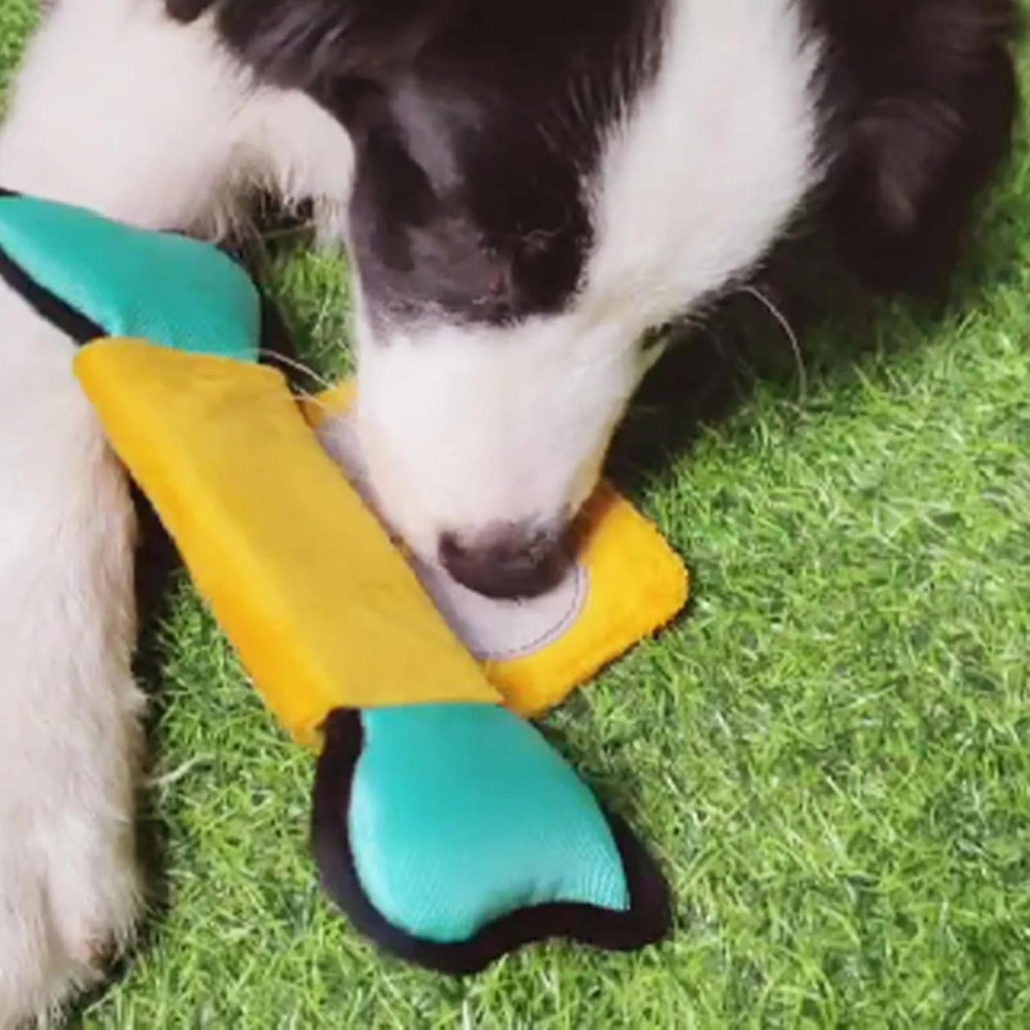 اسباب بازی پخش کننده غذای سگ - اسباب بازی های تعاملی سگ، پخش کننده غذا، بازی های پازلی لوازم حیوانات خانگی با صدا برای تحریک ذهنی سالم دندان درآوردن سگ های کوچک، متوسط و بزرگ