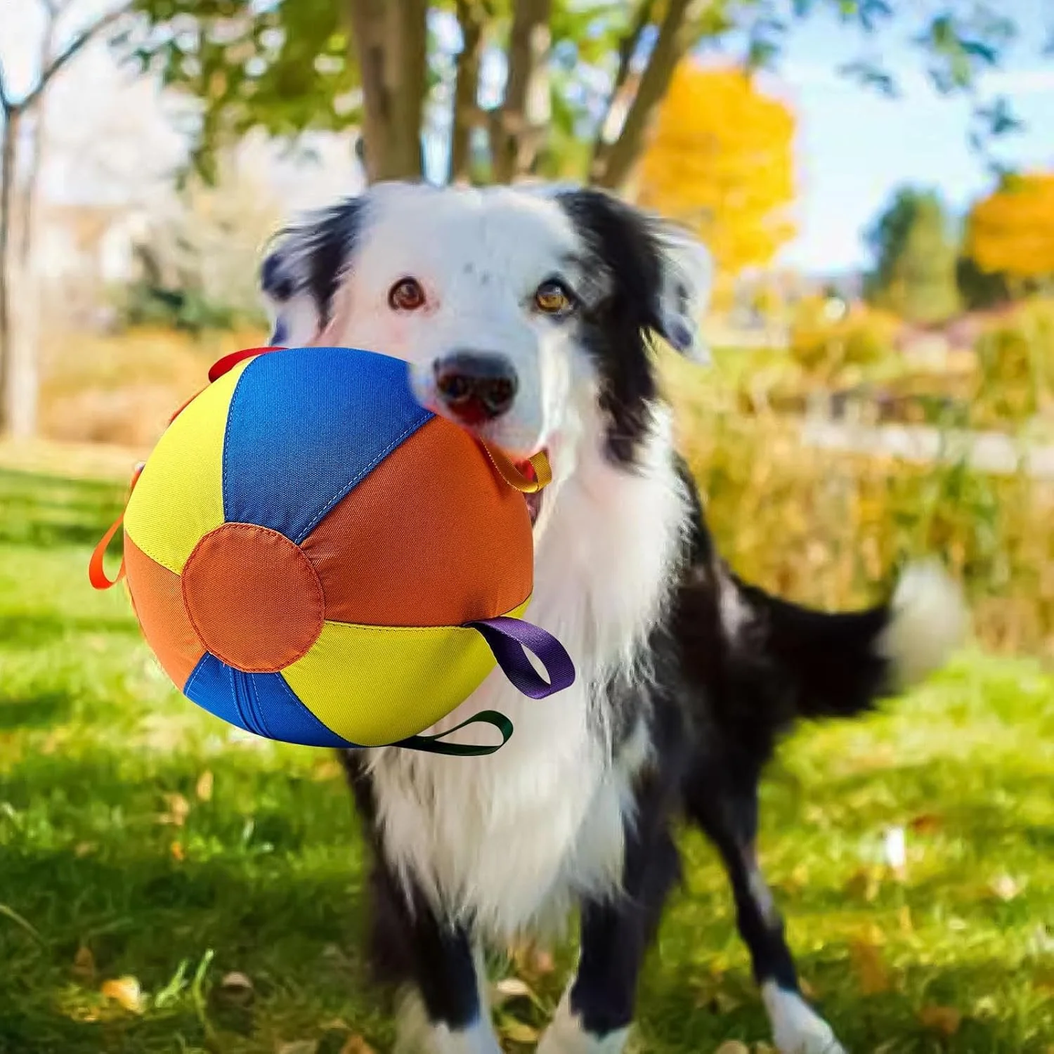 توپ بازی سگ، توپ بازی تعاملی برای توله سگ - طراحی قابل حمل و مقاوم در برابر گاز گرفتن برای بازی در فضای باز، استخر، توله سگ های تهاجمی، کریسمس، تولد، حیوانات خانگی