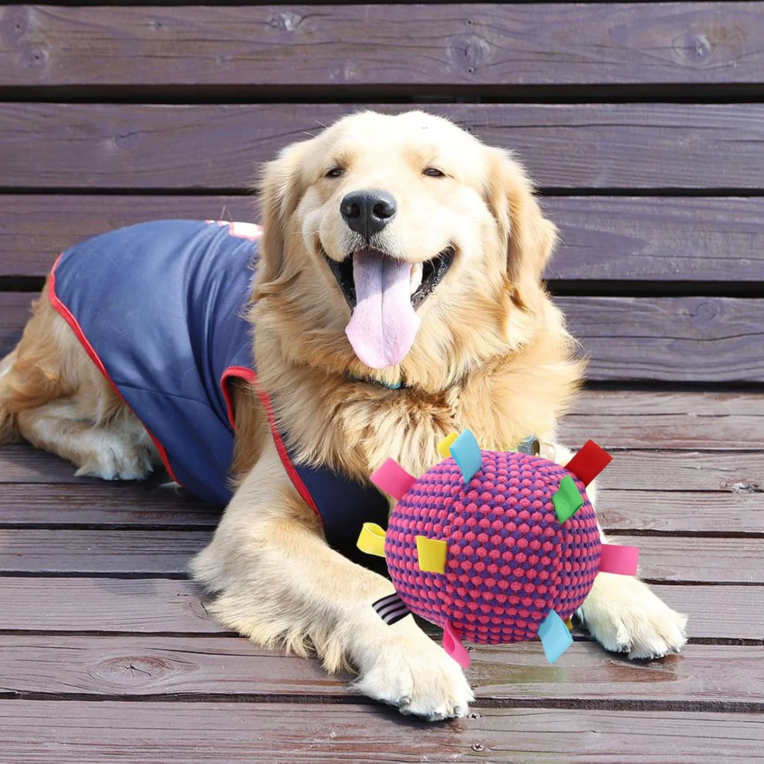 توپ سگ | توپ بازی تعاملی سگ - بازی نرم و صدادار لوازم حیوانات خانگی برای آموزش جویدن در فضای باز و داخل خانه توله سگ و گربه توپ سگ | توپ بازی تعاملی سگ - بازی نرم و صدادار لوازم حیوانات خانگی برای آموزش جویدن در فضای باز و داخل خانه توله سگ و گربه