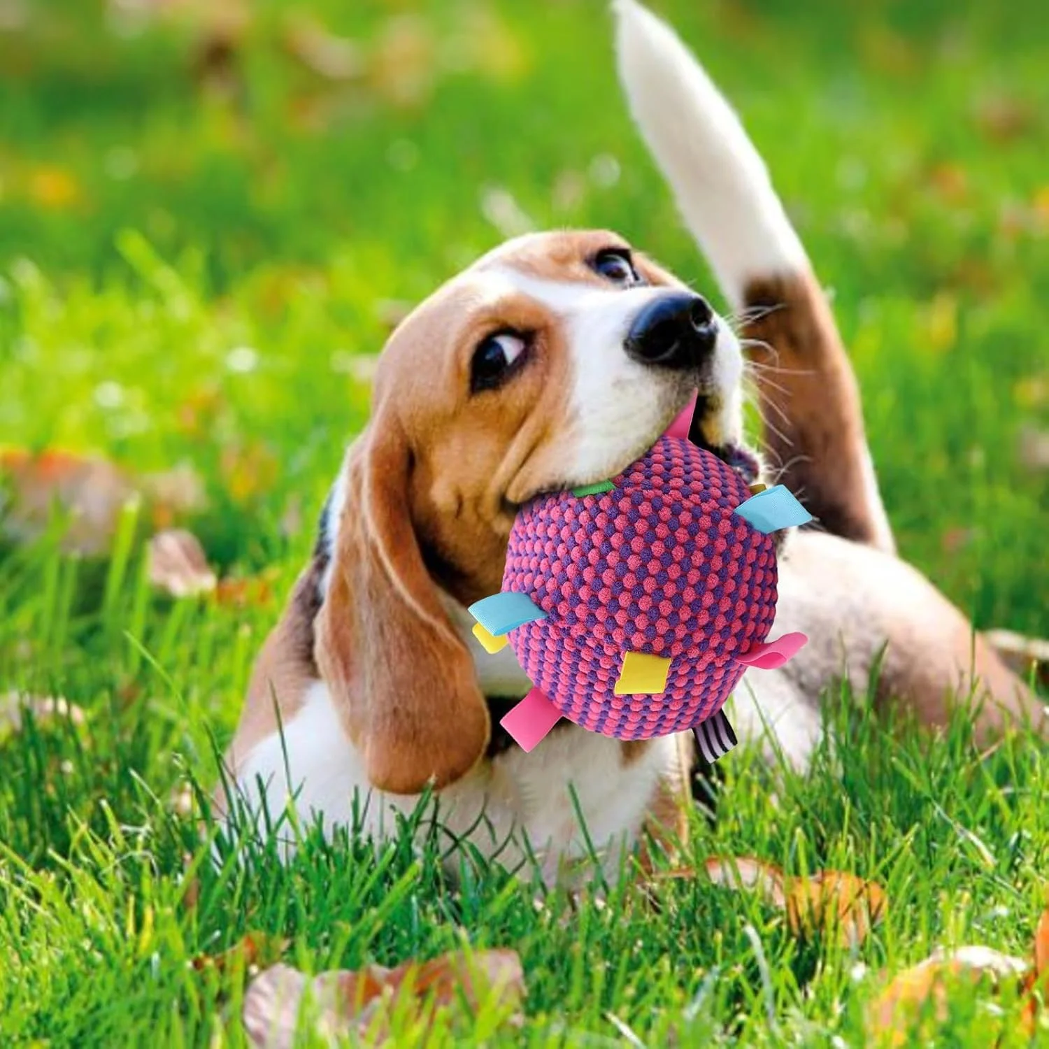 توپ سگ | توپ بازی تعاملی سگ - بازی نرم و صدادار لوازم حیوانات خانگی برای آموزش جویدن در فضای باز و داخل خانه توله سگ و گربه توپ سگ | توپ بازی تعاملی سگ - بازی نرم و صدادار لوازم حیوانات خانگی برای آموزش جویدن در فضای باز و داخل خانه توله سگ و گربه