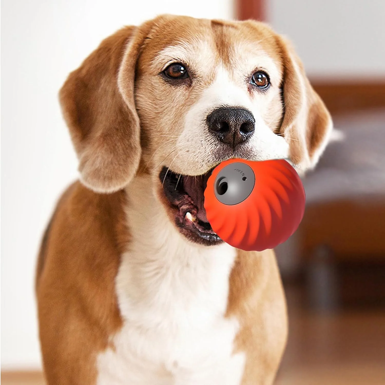 توپ پخش کننده غذای سگ 2 در 1 | توپ تغذیه آهسته برای حیوانات خانگی | اسباب بازی پخش کننده تشویقی حیوانات خانگی برای تحریک ذهنی، ورزش، داخل خانه، خارج از خانه، رفع بی حوصلگی، زمان بازی توپ پخش کننده غذای سگ 2 در 1 | توپ تغذیه آهسته برای حیوانات خانگی | اسباب بازی پخش کننده تشویقی حیوانات خانگی برای تحریک ذهنی، ورزش، داخل خانه، خارج از خانه، رفع بی حوصلگی، زمان بازی