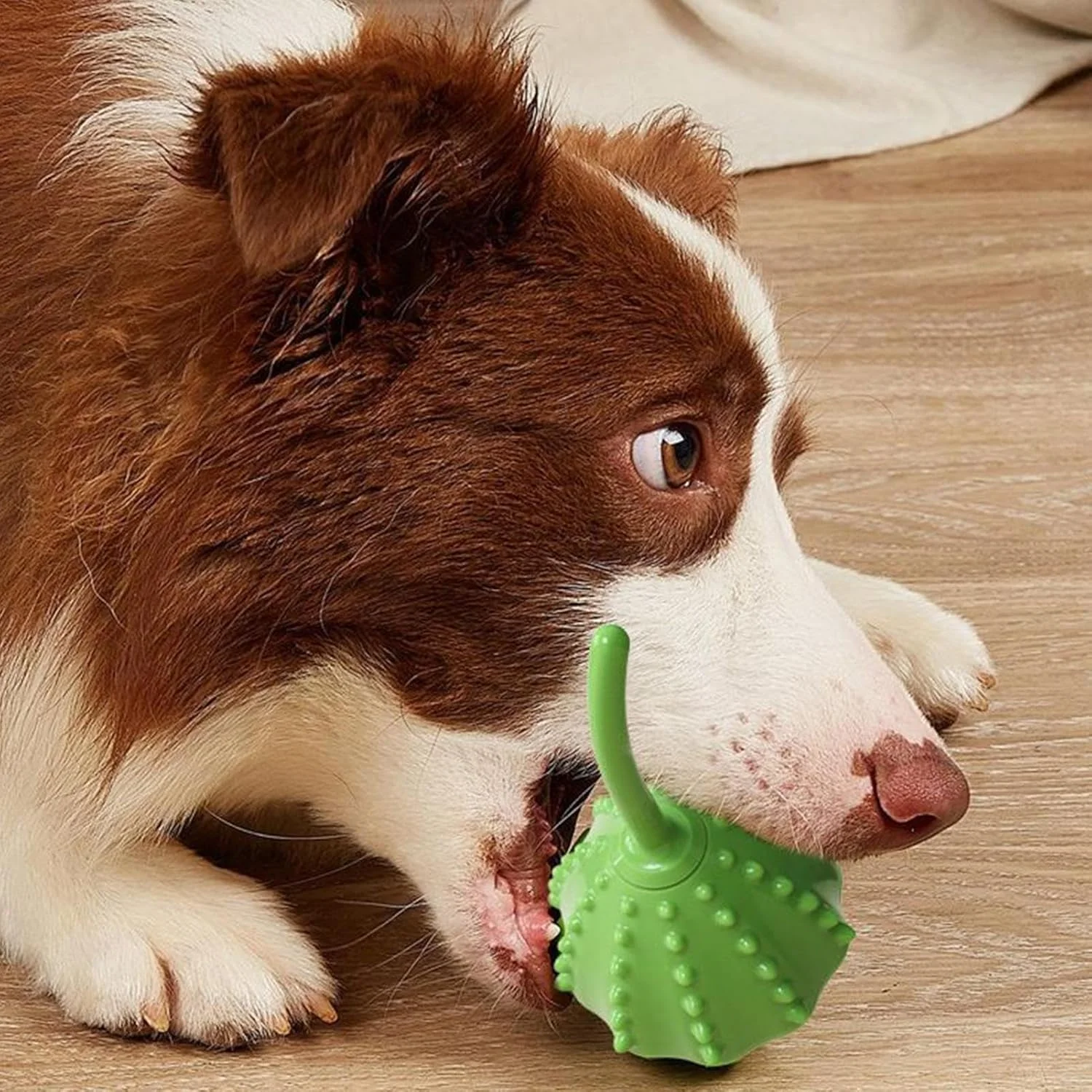 توپ تشویقی سگ، پخش کننده آهسته غذا با طرح گیاهی | توپ جستجوی قابل حمل، بازی غنی سازی، لوازم حیوانات خانگی برای نژادهای کوچک، متوسط و بزرگ، مسافرت، فضای باز، خانه