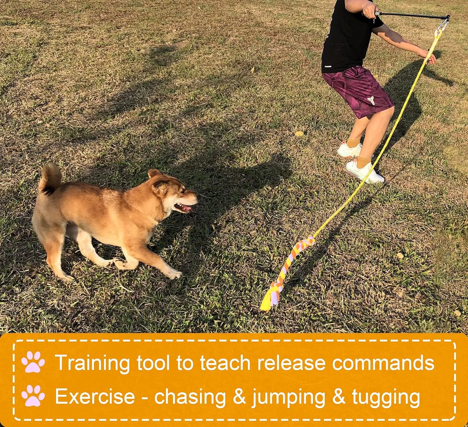 اسباب بازی میله بازی سگ Dewonch مناسب آموزش و ورزش، چوب محرک بادوام با طناب پشمی برای سگ های متوسط و بزرگ برای آوردن، تعقیب، کشیدن و طناب کشی