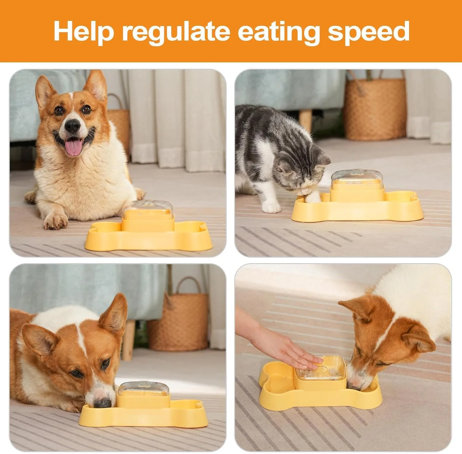 اسباب بازی پخش کننده تشویقی گربه - فیدر تعاملی حیوانات خانگی | پخش کننده غذای آهسته تعاملی برای سرگرمی ورزشی و کاهش استرس در فضای باز و داخل خانه