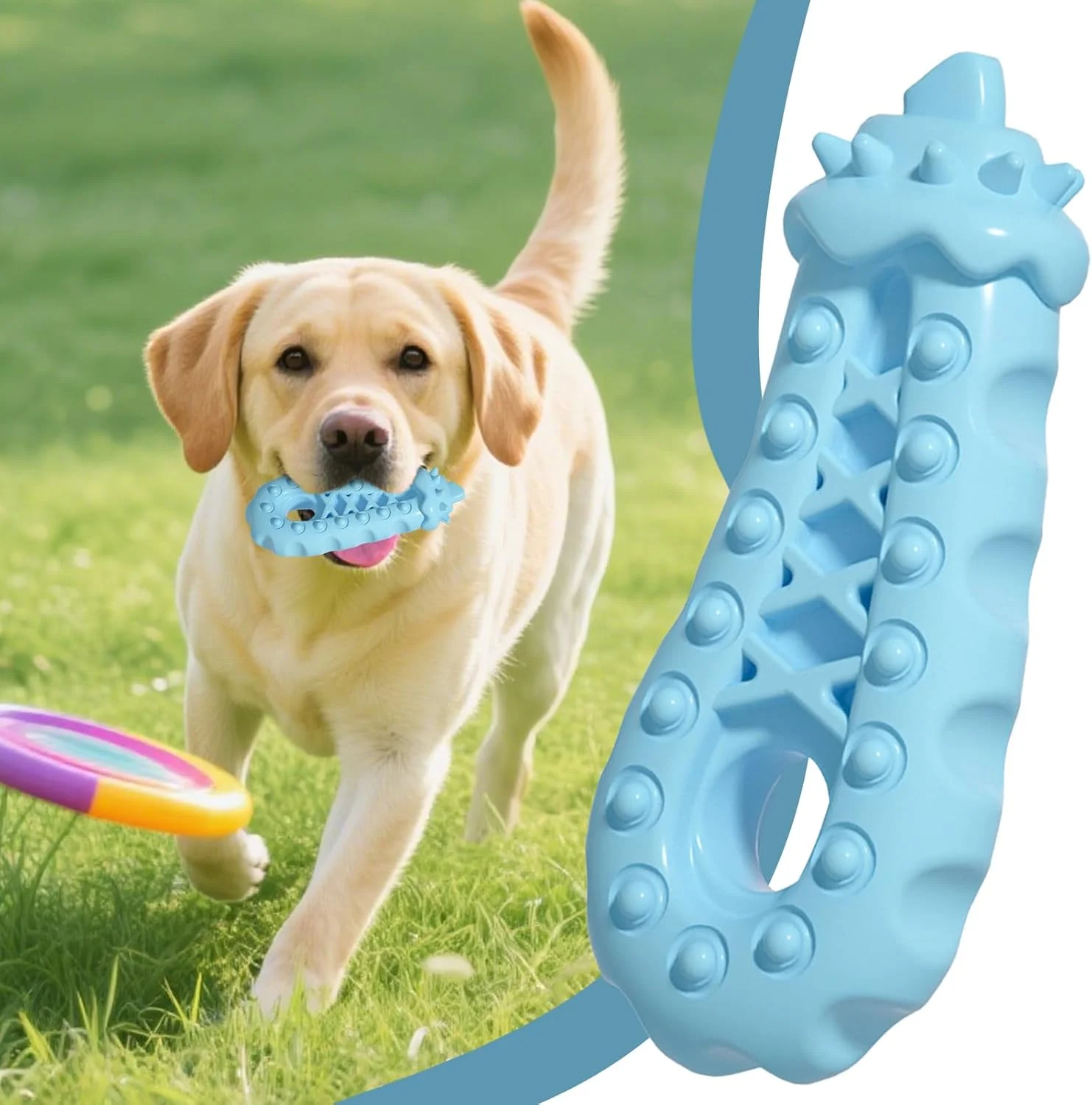 اسباب بازی های جویدنی برای سگ ها - اسباب بازی های جویدنی توله سگ تهاجمی و مقاوم، لوازم جانبی حیوانات خانگی برای آموزش، بازی غنی سازی، داخل خانه، فضای باز، باغ، جعبه، تابستان، خانواده، دوستان