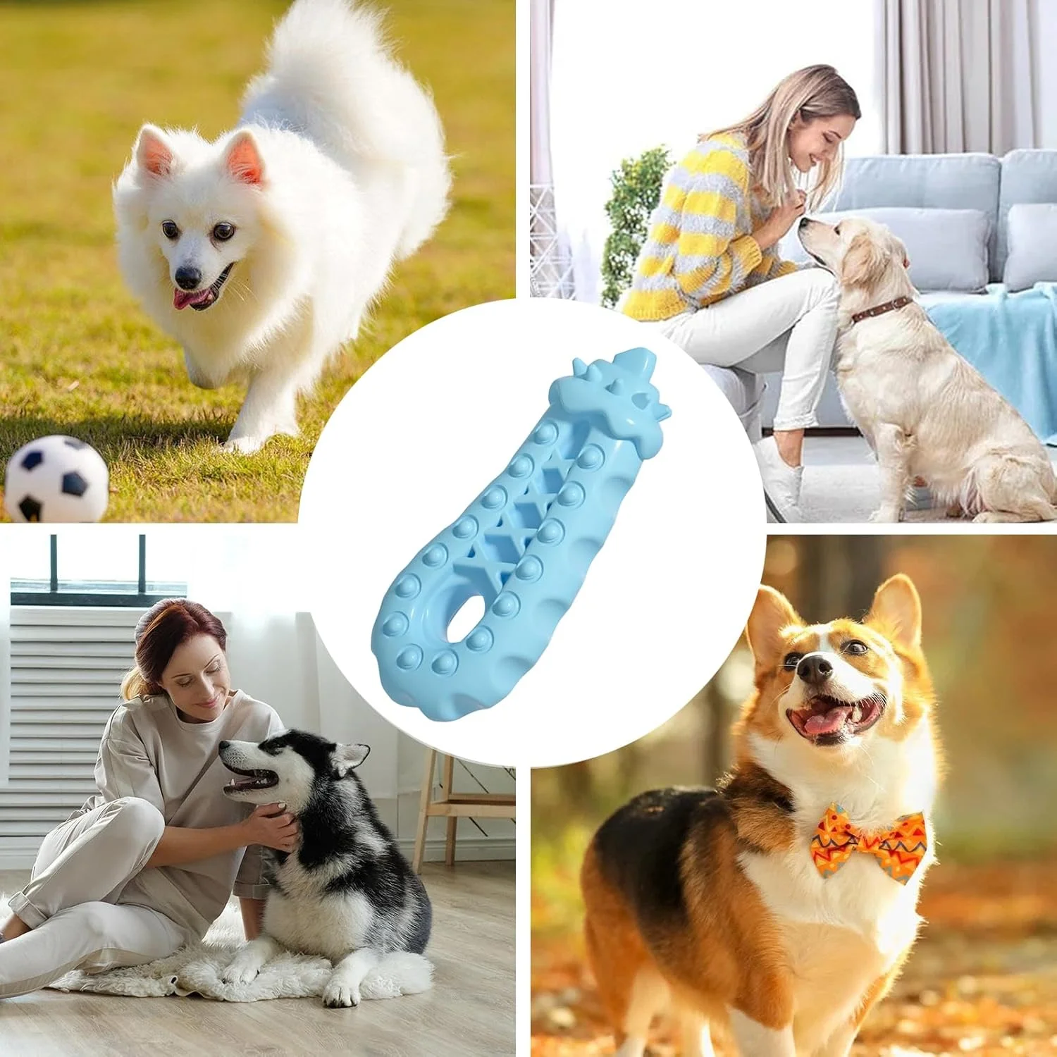 اسباب بازی های جویدنی برای سگ ها - اسباب بازی های جویدنی توله سگ تهاجمی و مقاوم، لوازم جانبی حیوانات خانگی برای آموزش، بازی غنی سازی، داخل خانه، فضای باز، باغ، جعبه، تابستان، خانواده، دوستان