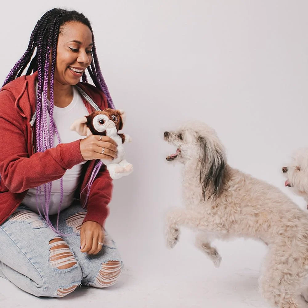 اسباب بازی سگ باکل-داون، ترسناک، پولیشی و صدادار، گرملینز گیزمو در حالت ایستاده، 20cm x 15cm (DTPT-WMVAD)