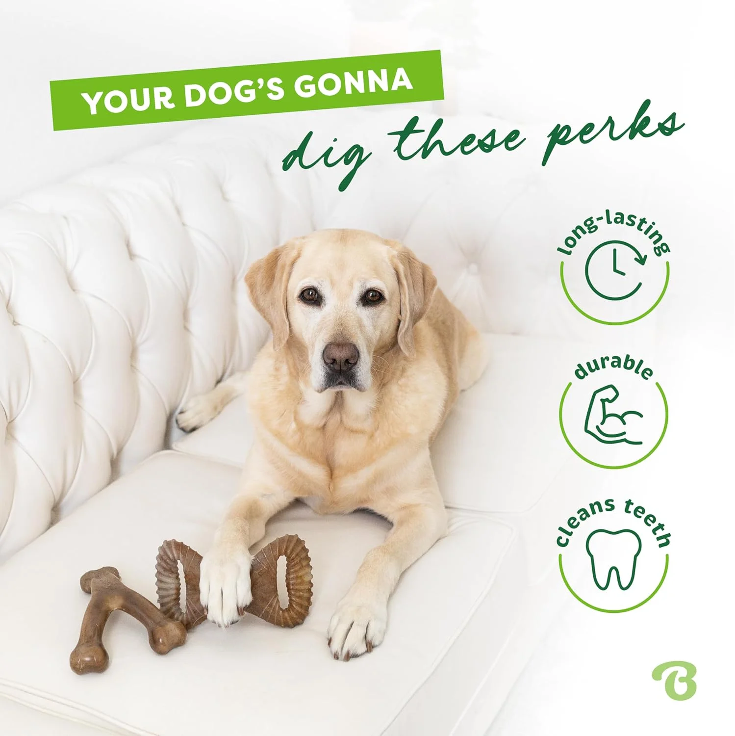 بسته 2 عددی استخوان جویدنی دندانی/شاخه ای مقاوم Benebone برای سگ های با عادت جویدن قوی، اسباب بازی بادوام و سرگرم کننده برای رفع بی حوصلگی سگ ها، طعم بیکن واقعی، مناسب برای سگ های متوسط، ساخت آمریکا.