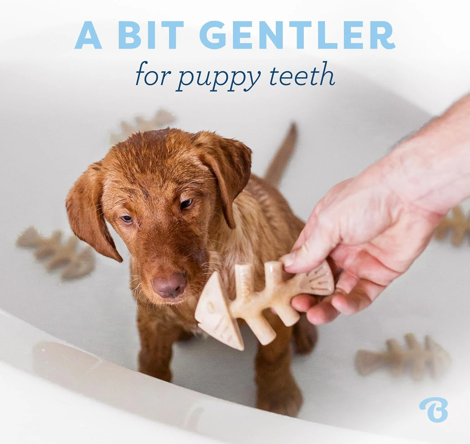 بنه بون بسته 2 عددی استخوان ماهی کوچک مخصوص توله سگ ها، اسباب بازی جویدنی غیر قابل تخریب برای جویدن ملایم، تسکین دندان درآوردن و رفع بی حوصلگی توله سگ ها، طعم واقعی ماهی سالمون جک، مناسب سگ های خیلی کوچک، ساخت آمریکا بنه بون بسته 2 عددی استخوان ماهی کوچک مخصوص توله سگ ها، اسباب بازی جویدنی غیر قابل تخریب برای جویدن ملایم، تسکین دندان درآوردن و رفع بی حوصلگی توله سگ ها، طعم واقعی ماهی سالمون جک، مناسب سگ های خیلی کوچک، ساخت آمریکا