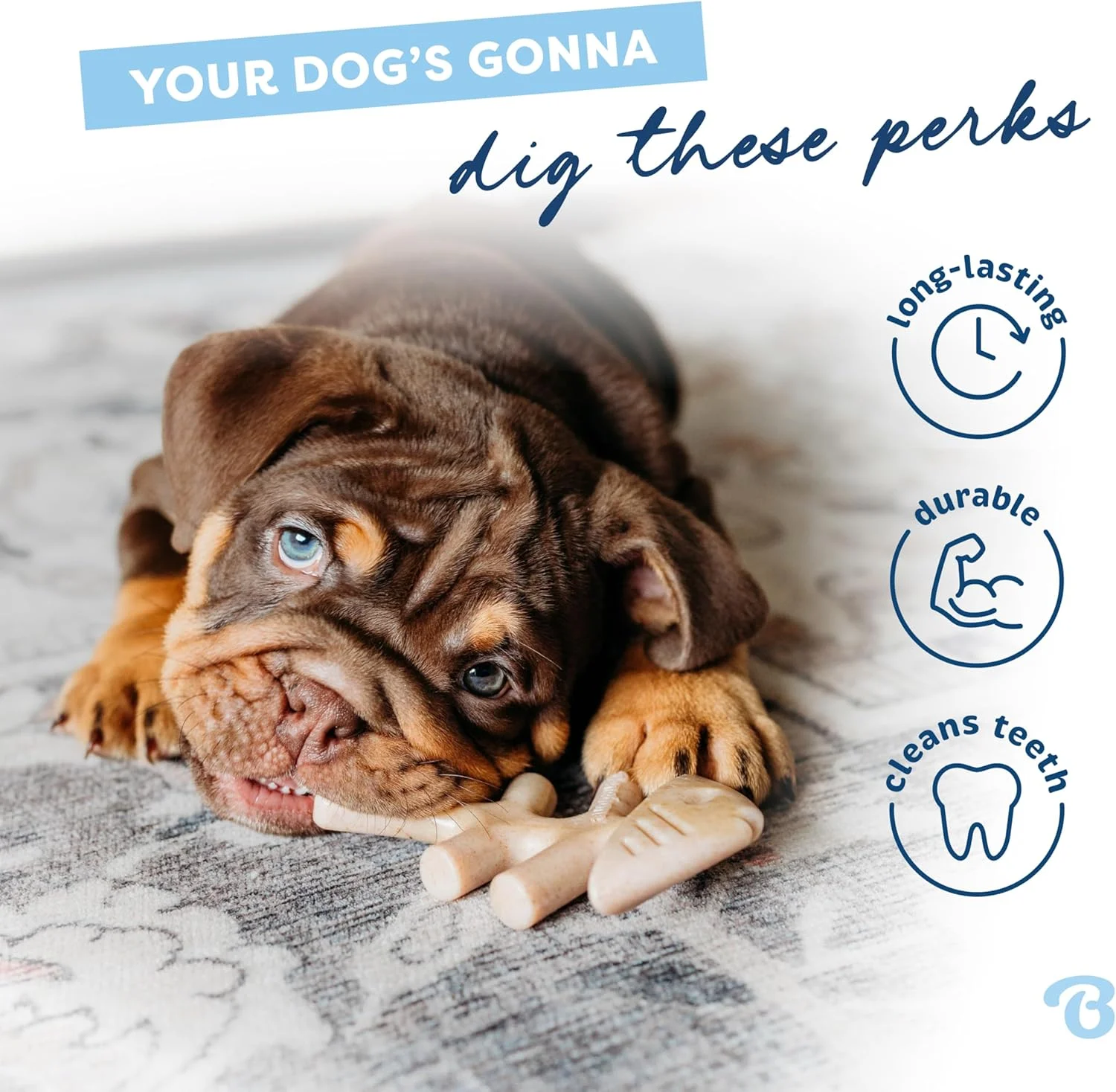 بنه بون بسته 2 عددی استخوان ماهی کوچک مخصوص توله سگ ها، اسباب بازی جویدنی غیر قابل تخریب برای جویدن ملایم، تسکین دندان درآوردن و رفع بی حوصلگی توله سگ ها، طعم واقعی ماهی سالمون جک، مناسب سگ های خیلی کوچک، ساخت آمریکا بنه بون بسته 2 عددی استخوان ماهی کوچک مخصوص توله سگ ها، اسباب بازی جویدنی غیر قابل تخریب برای جویدن ملایم، تسکین دندان درآوردن و رفع بی حوصلگی توله سگ ها، طعم واقعی ماهی سالمون جک، مناسب سگ های خیلی کوچک، ساخت آمریکا