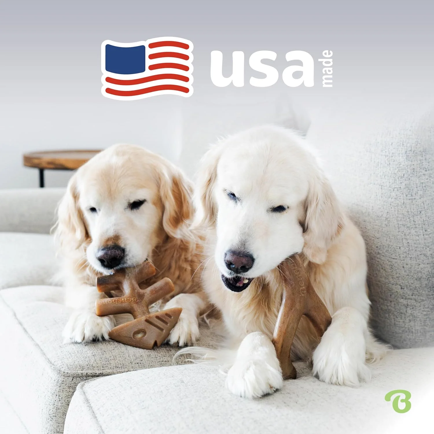 بسته 2 عددی اسباب بازی جویدنی سگ بن بن مدل استخوان ماهی/استخوان آرزو، بادوام و مقاوم، از بین برنده خستگی سگ، طعم واقعی ماهی سالمون و بیکن، مناسب برای سگ های کوچک، ساخت آمریکا