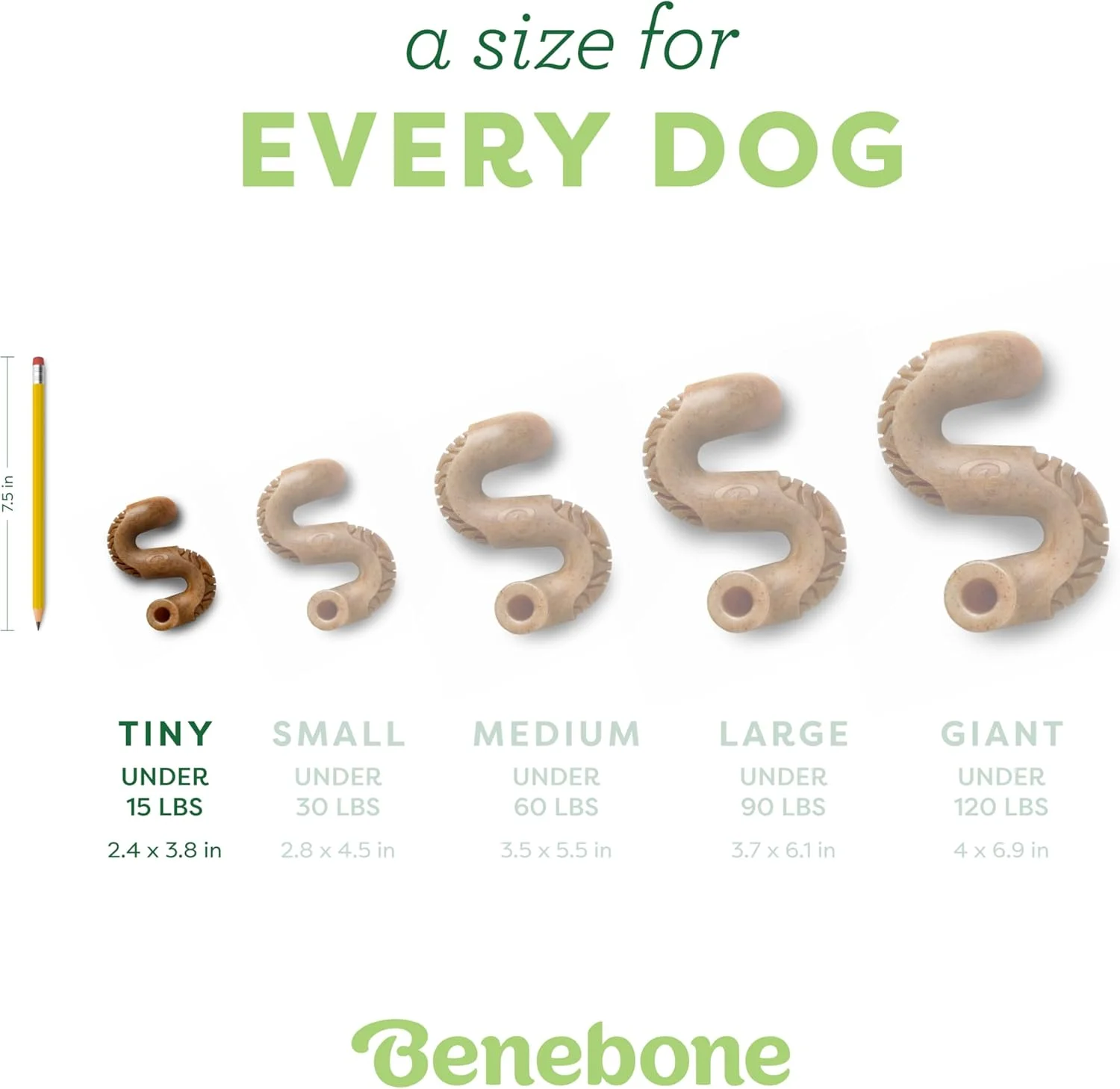 بسته 2 عددی استخوان کوچک Benebone، اسباب بازی جویدنی بادوام استخوان سیرابی برای سگ های جویدنی تهاجمی، سیرابی واقعی، ساخت آمریکا بسته 2 عددی استخوان کوچک Benebone، اسباب بازی جویدنی بادوام استخوان سیرابی برای سگ های جویدنی تهاجمی، سیرابی واقعی، ساخت آمریکا