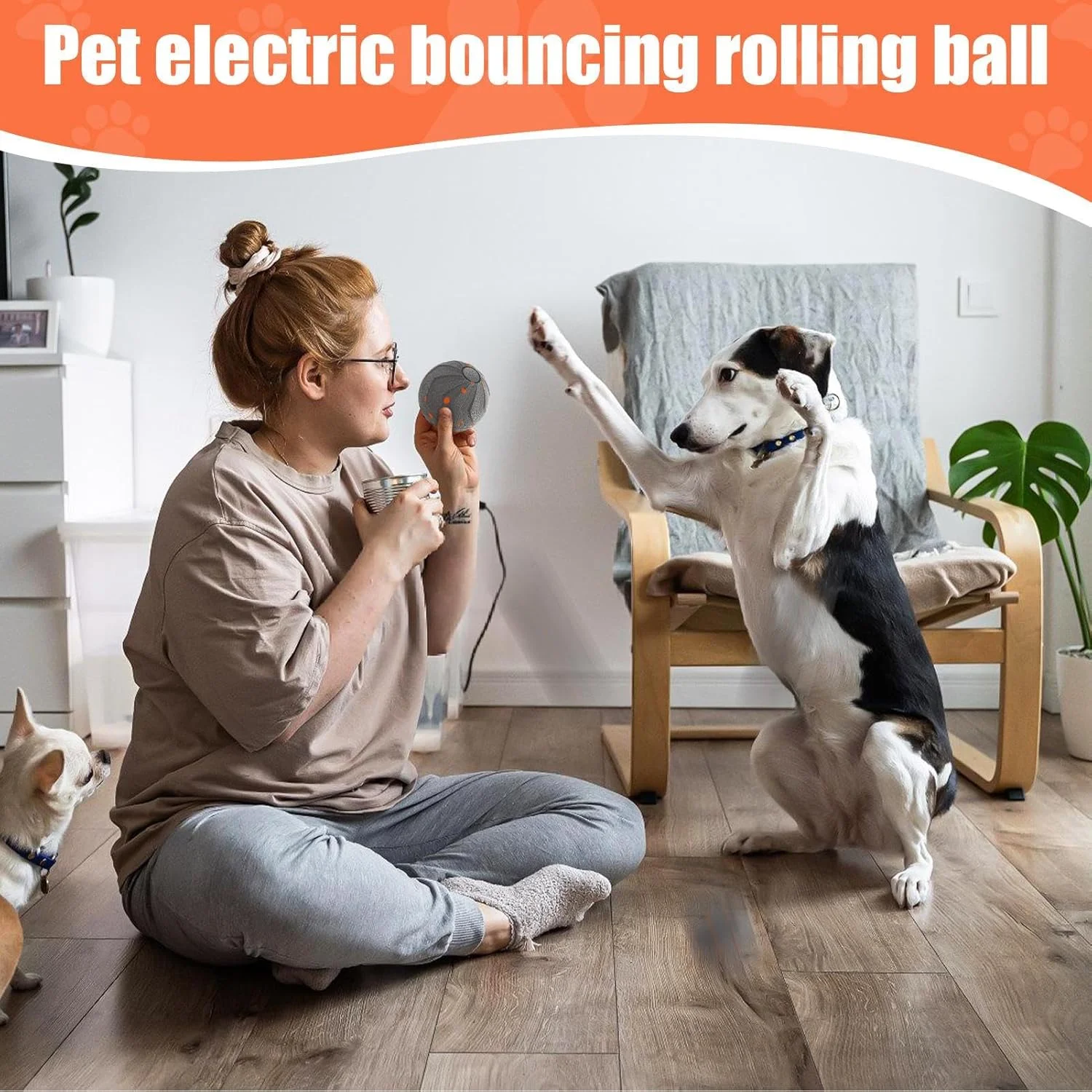 توپ غلتان اتوماتیک سگ - اسباب بازی های برقی سگ برای سرگرم نگه داشتن آنها، توپ بازی حیوانات خانگی با قابلیت پرش اتوماتیک، اسباب بازی قابل شارژ USB برای حیاط، پاسیو، درب ورودی، پارک، گاراژ، اتاق نشیمن توپ غلتان اتوماتیک سگ - اسباب بازی های برقی سگ برای سرگرم نگه داشتن آنها، توپ بازی حیوانات خانگی با قابلیت پرش اتوماتیک، اسباب بازی قابل شارژ USB برای حیاط، پاسیو، درب ورودی، پارک، گاراژ، اتاق نشیمن