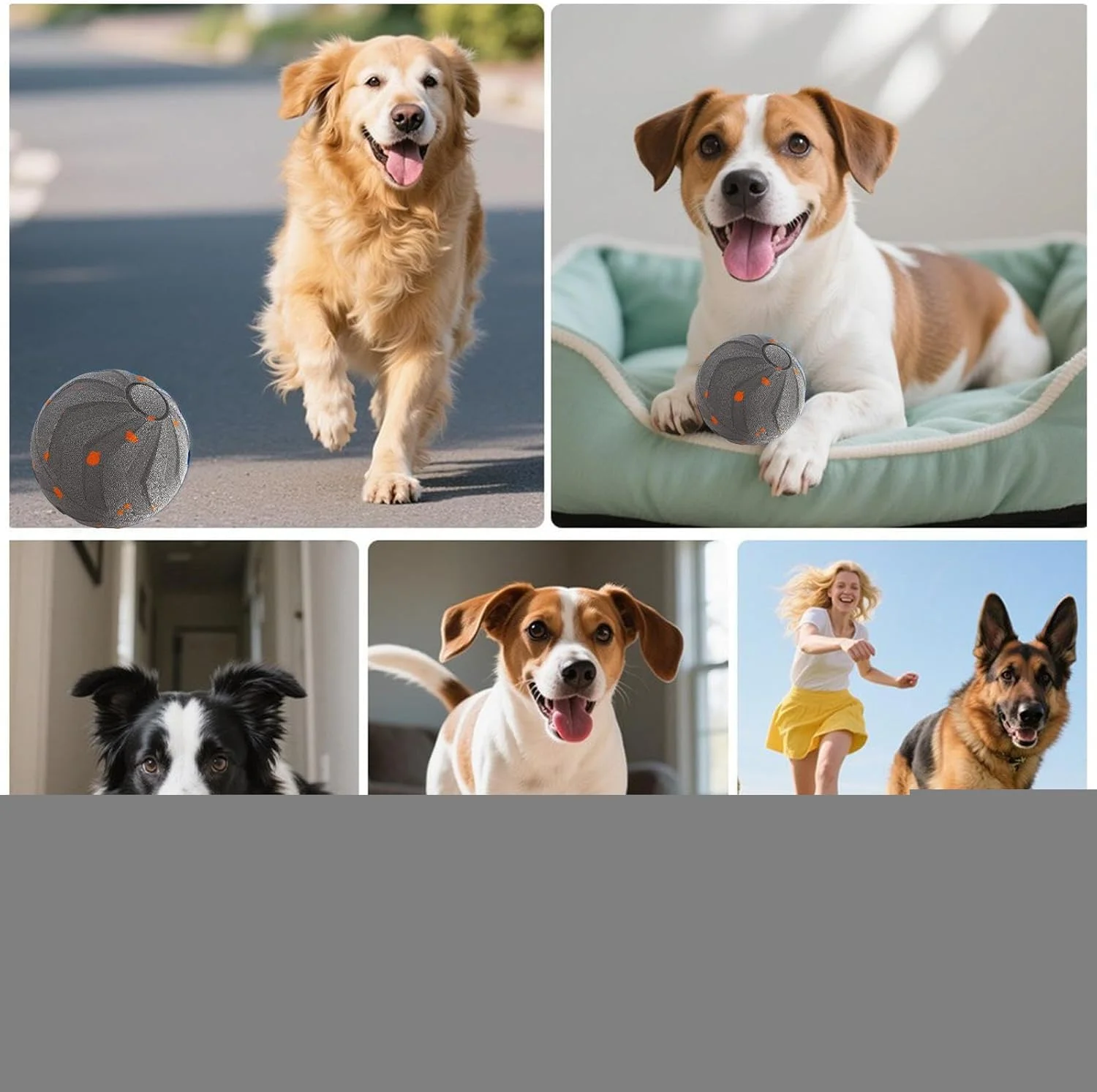 توپ غلتان اتوماتیک سگ - اسباب بازی های برقی سگ برای سرگرم نگه داشتن آنها، توپ بازی حیوانات خانگی با قابلیت پرش اتوماتیک، اسباب بازی قابل شارژ USB برای حیاط، پاسیو، درب ورودی، پارک، گاراژ، اتاق نشیمن توپ غلتان اتوماتیک سگ - اسباب بازی های برقی سگ برای سرگرم نگه داشتن آنها، توپ بازی حیوانات خانگی با قابلیت پرش اتوماتیک، اسباب بازی قابل شارژ USB برای حیاط، پاسیو، درب ورودی، پارک، گاراژ، اتاق نشیمن