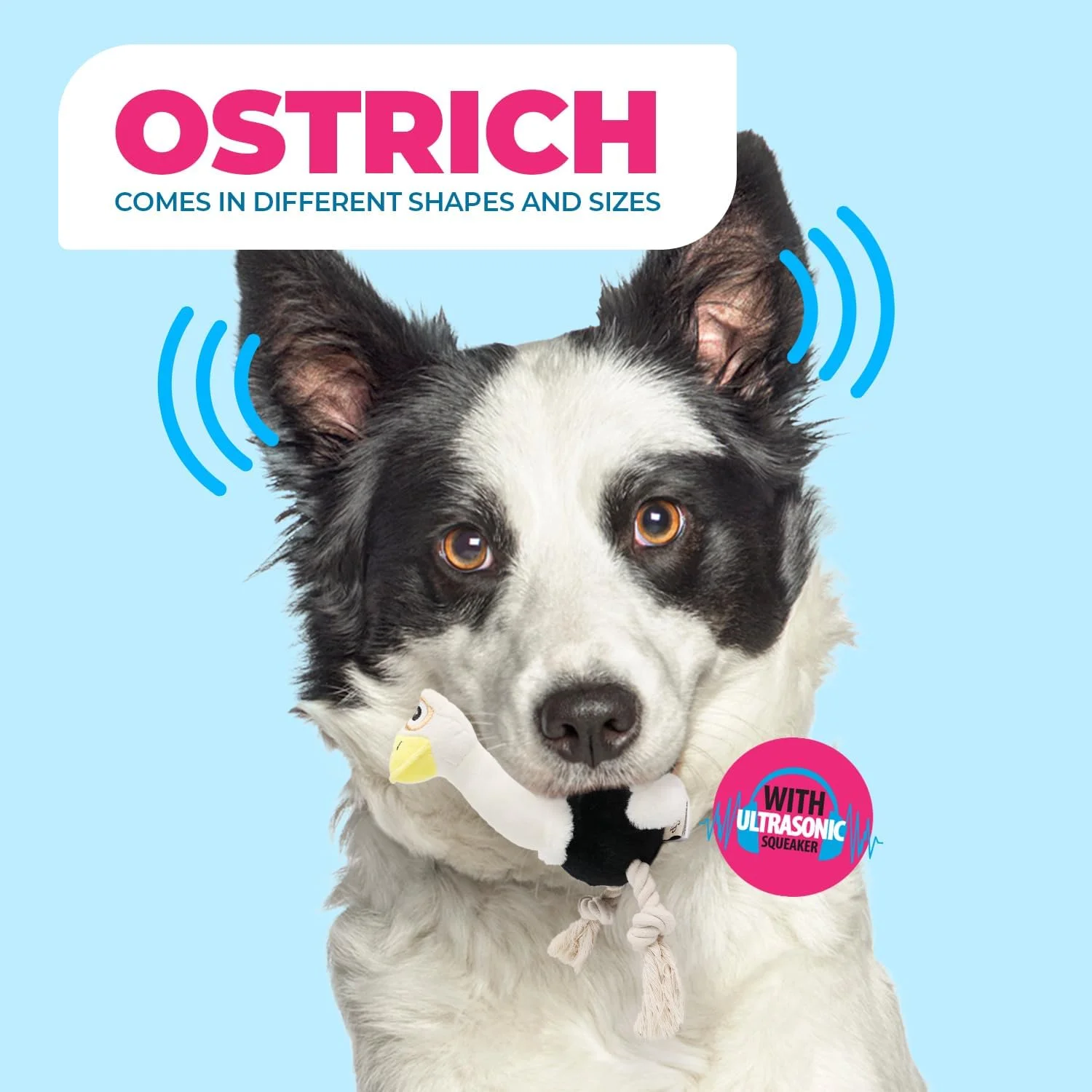 اسباب بازی سگ شترمرغی فراصوتی All For Paws، سایز S، وزن 3.6 کیلوگرم اسباب بازی سگ شترمرغی فراصوتی All For Paws، سایز S، وزن 3.6 کیلوگرم