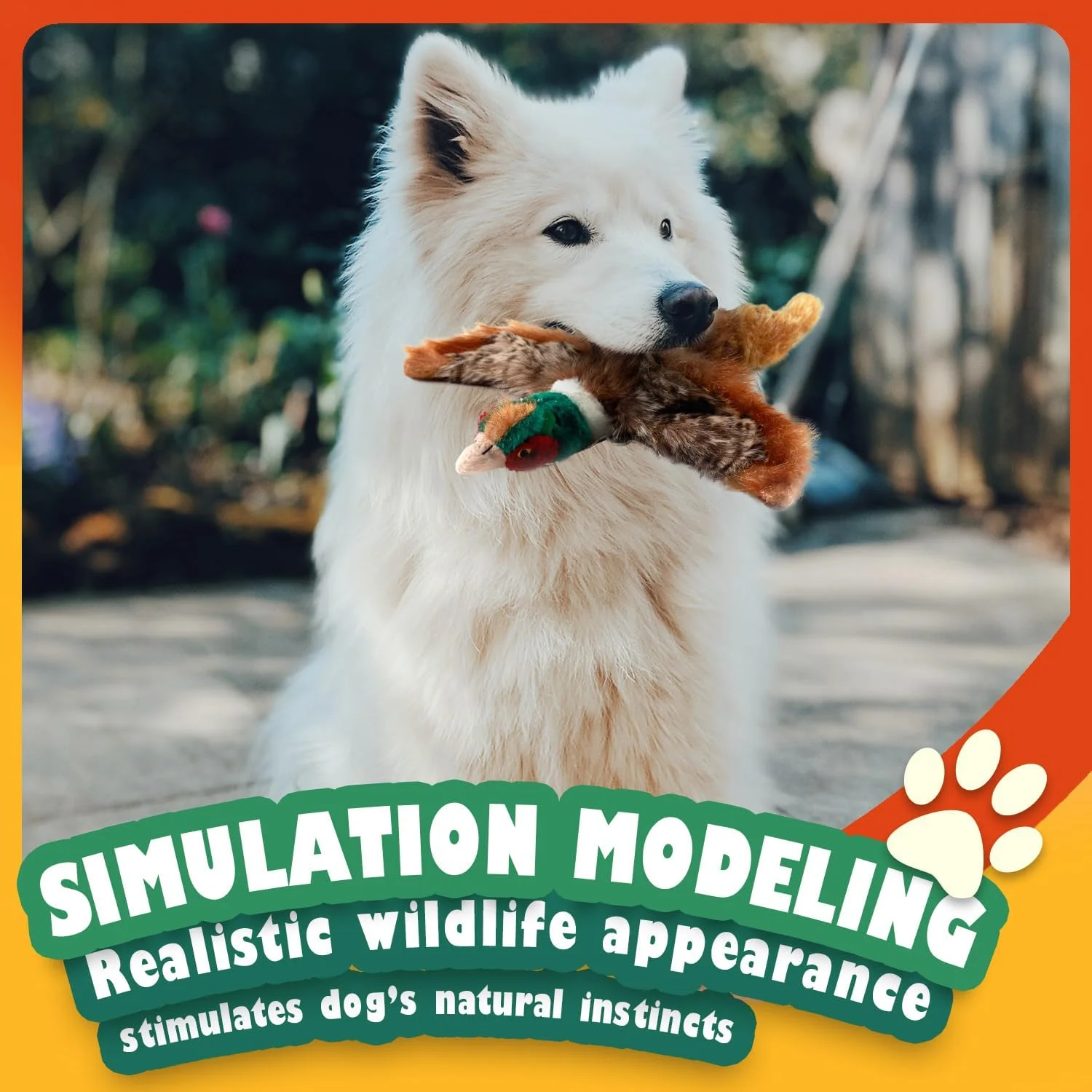 آل فور پاز کلاسیک - قرقاول کوچک