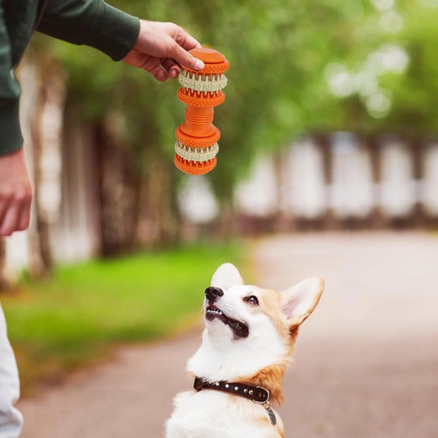 اسباب بازی های جویدنی تهاجمی سگ - اسباب بازی های جویدنی غیر قابل تخریب سگ، پازل غذایی جویدنی، لوازم جانبی توله سگ پخش کننده غذا، وسایل غنی سازی چوب دنده پازل غذایی حیوانات خانگی برای مشغول نگه داشتن آنها