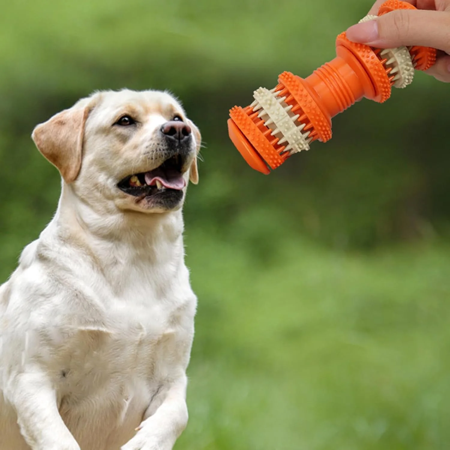 اسباب بازی های جویدنی تهاجمی سگ - اسباب بازی های جویدنی غیر قابل تخریب سگ، پازل غذایی جویدنی، لوازم جانبی توله سگ پخش کننده غذا، وسایل غنی سازی چوب دنده پازل غذایی حیوانات خانگی برای مشغول نگه داشتن آنها