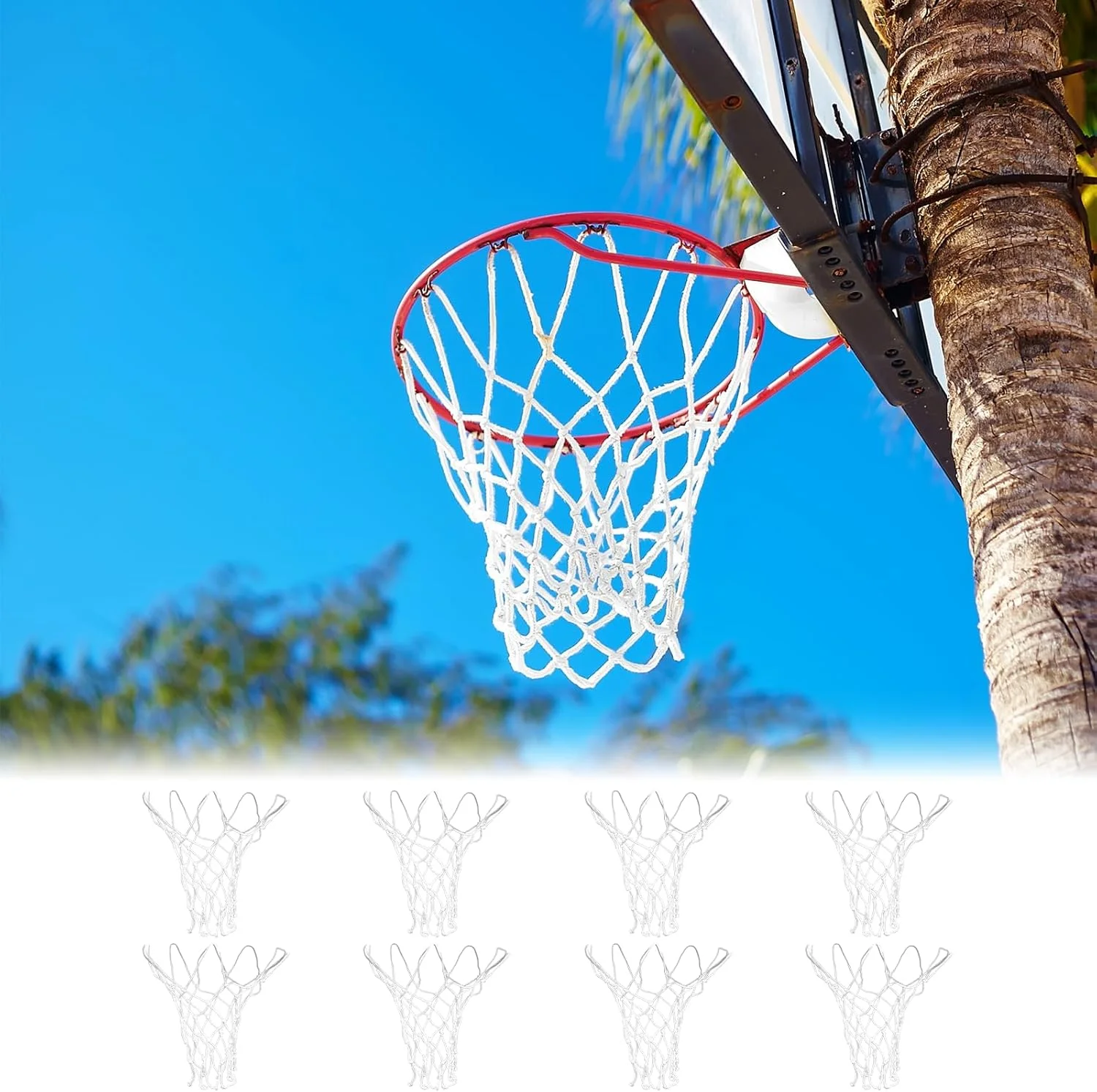 8 عدد تور بسکتبال کوچک جایگزین برای حلقه های بسکتبال 8 تا 10.25 اینچی، تور حلقه بسکتبال کوچک نایلونی مناسب فضای باز و داخل سالن برای کودکان 8 عدد تور بسکتبال کوچک جایگزین برای حلقه های بسکتبال 8 تا 10.25 اینچی، تور حلقه بسکتبال کوچک نایلونی مناسب فضای باز و داخل سالن برای کودکان