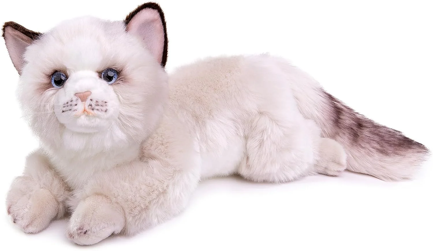 عروسک گربه نژاد رگدال ژونگشین، حیوانات عروسکی گربه رگدال واقعی، اسباب بازی عروسکی گربه 50 سانتی متری زیبا، اسباب بازی نرم گربه برای کودکان عروسک گربه نژاد رگدال ژونگشین، حیوانات عروسکی گربه رگدال واقعی، اسباب بازی عروسکی گربه 50 سانتی متری زیبا، اسباب بازی نرم گربه برای کودکان