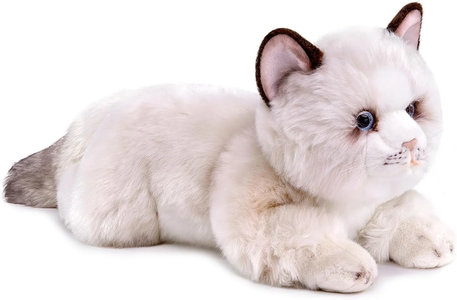 عروسک گربه نژاد رگدال ژونگشین، حیوانات عروسکی گربه رگدال واقعی، اسباب بازی عروسکی گربه 50 سانتی متری زیبا، اسباب بازی نرم گربه برای کودکان