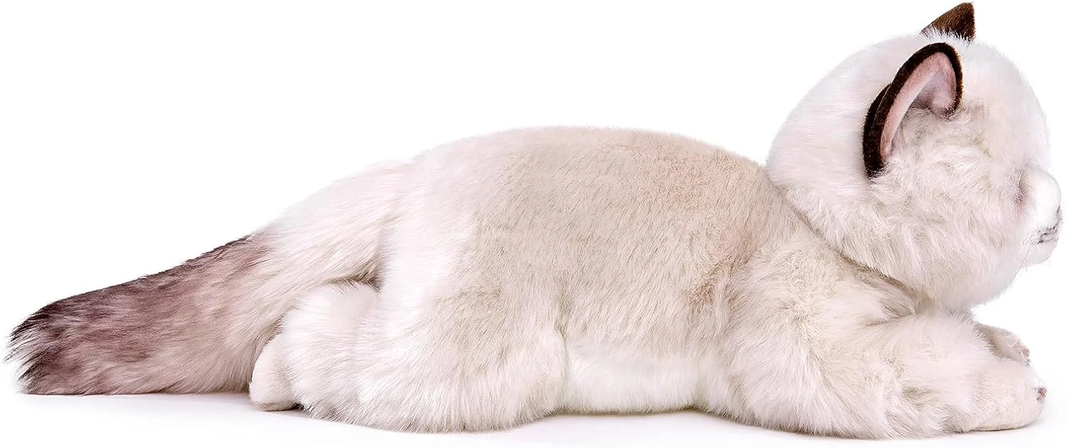 عروسک گربه نژاد رگدال ژونگشین، حیوانات عروسکی گربه رگدال واقعی، اسباب بازی عروسکی گربه 50 سانتی متری زیبا، اسباب بازی نرم گربه برای کودکان