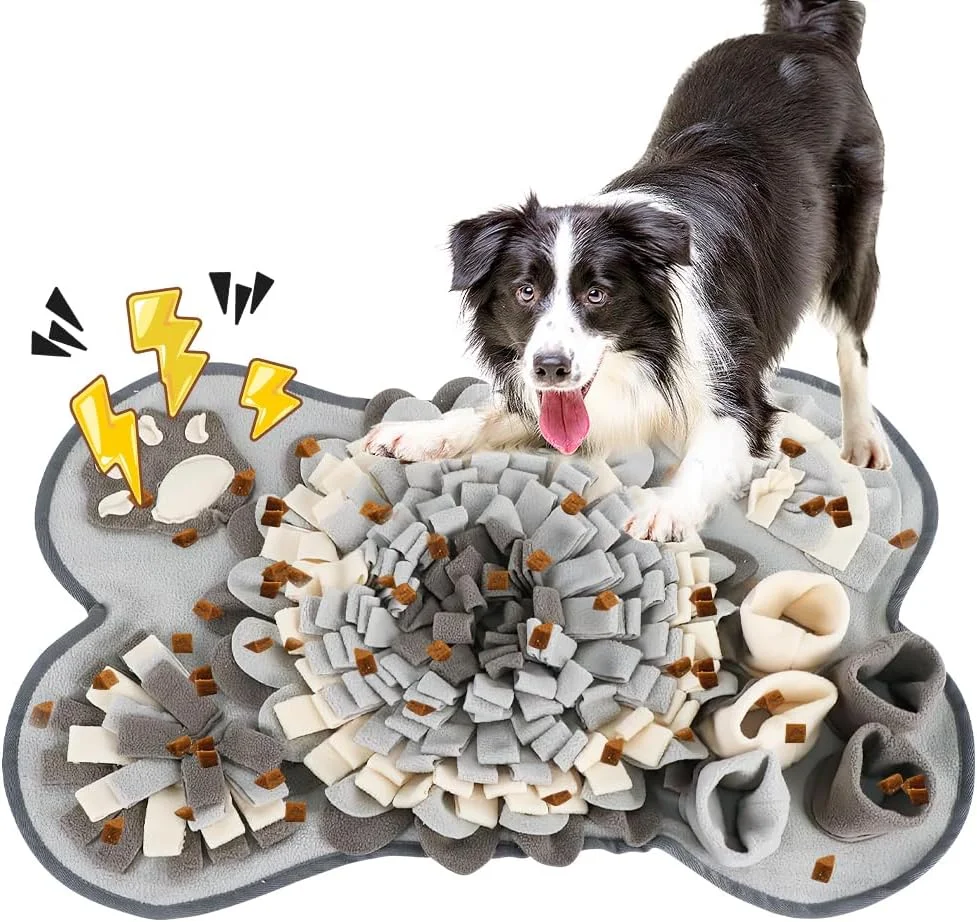 فرش بویایی یانگون برای سگ ها، فرش بویایی، پد بویایی سگ، اسباب بازی هوش سگ لوازم جانبی حیوانات خانگی، ترویج تغذیه طبیعی و کاهش استرس برای سگ ها و گربه ها فرش بویایی یانگون برای سگ ها، فرش بویایی، پد بویایی سگ، اسباب بازی هوش سگ لوازم جانبی حیوانات خانگی، ترویج تغذیه طبیعی و کاهش استرس برای سگ ها و گربه ها