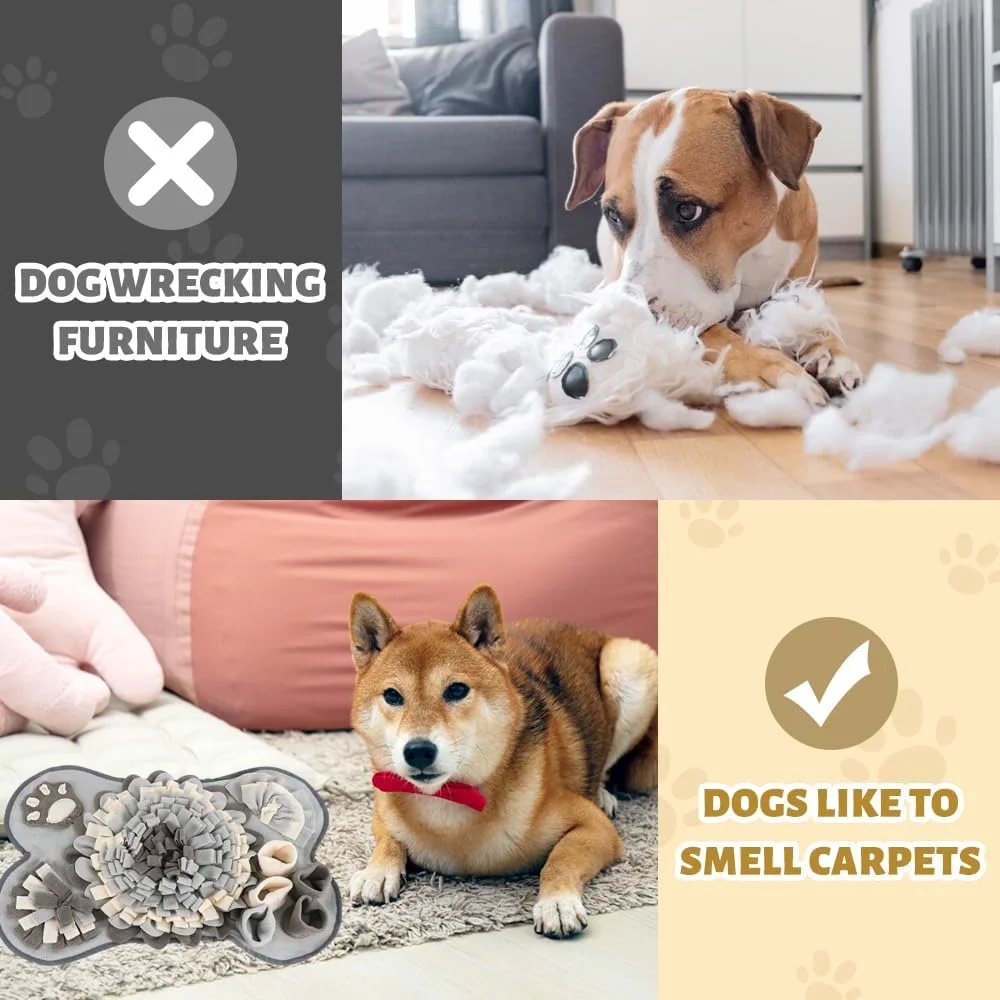 فرش بویایی یانگون برای سگ ها، فرش بویایی، پد بویایی سگ، اسباب بازی هوش سگ لوازم جانبی حیوانات خانگی، ترویج تغذیه طبیعی و کاهش استرس برای سگ ها و گربه ها فرش بویایی یانگون برای سگ ها، فرش بویایی، پد بویایی سگ، اسباب بازی هوش سگ لوازم جانبی حیوانات خانگی، ترویج تغذیه طبیعی و کاهش استرس برای سگ ها و گربه ها