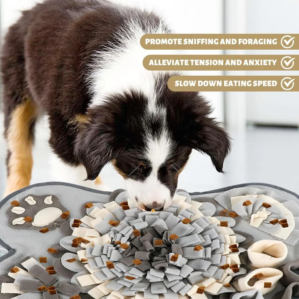 فرش بویایی یانگون برای سگ ها، فرش بویایی، پد بویایی سگ، اسباب بازی هوش سگ لوازم جانبی حیوانات خانگی، ترویج تغذیه طبیعی و کاهش استرس برای سگ ها و گربه ها فرش بویایی یانگون برای سگ ها، فرش بویایی، پد بویایی سگ، اسباب بازی هوش سگ لوازم جانبی حیوانات خانگی، ترویج تغذیه طبیعی و کاهش استرس برای سگ ها و گربه ها