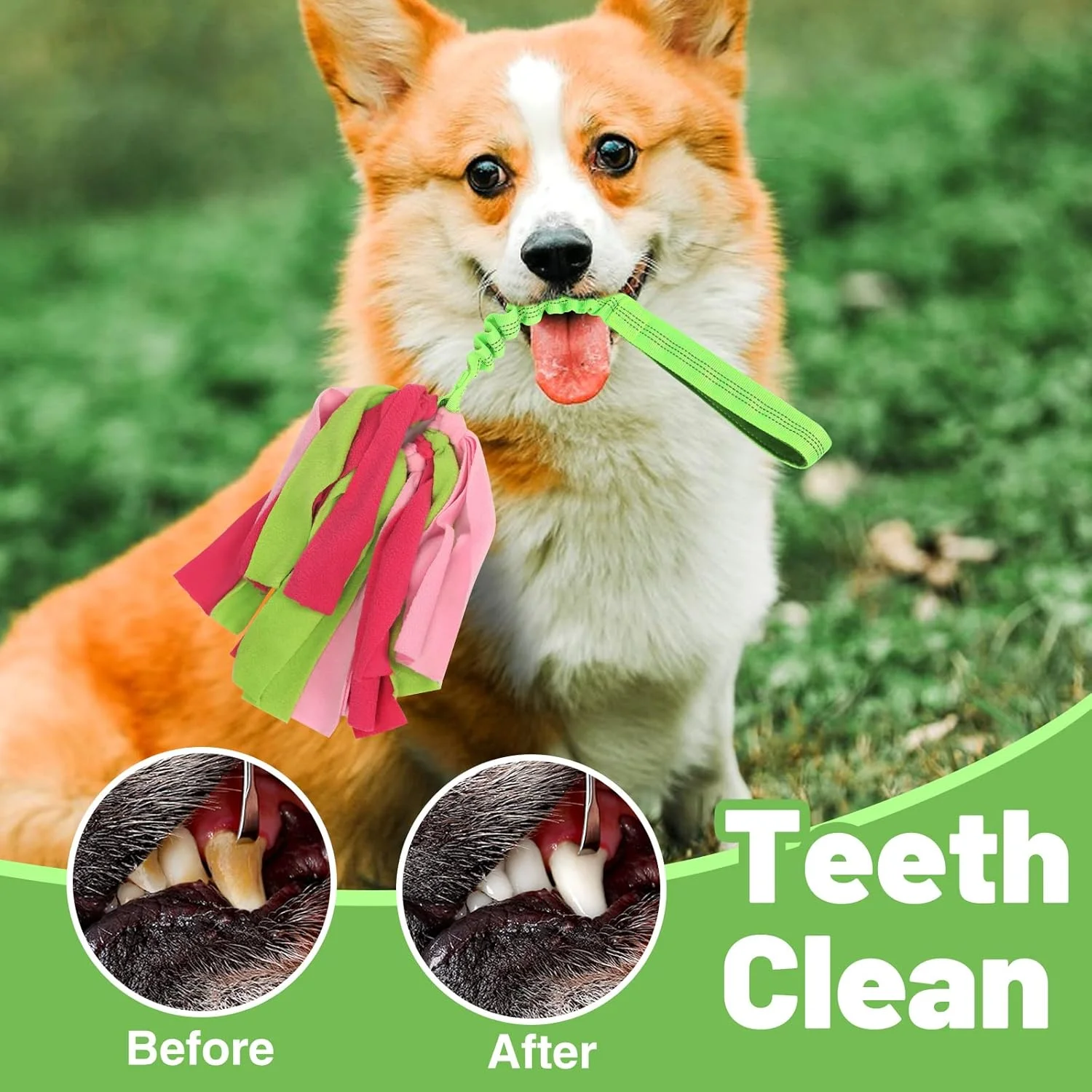 اسباب بازی های تعاملی سگ wodoca، اسباب بازی های طناب سگ برای جویدن تهاجمی، اسباب بازی های حیوانات خانگی برای جویدن سگ - طناب مقاوم برای کشیدن طناب بازی سگ برای بازی های تعاملی توله سگ کوچک و متوسط (سبز) اسباب بازی های تعاملی سگ wodoca، اسباب بازی های طناب سگ برای جویدن تهاجمی، اسباب بازی های حیوانات خانگی برای جویدن سگ - طناب مقاوم برای کشیدن طناب بازی سگ برای بازی های تعاملی توله سگ کوچک و متوسط (سبز)