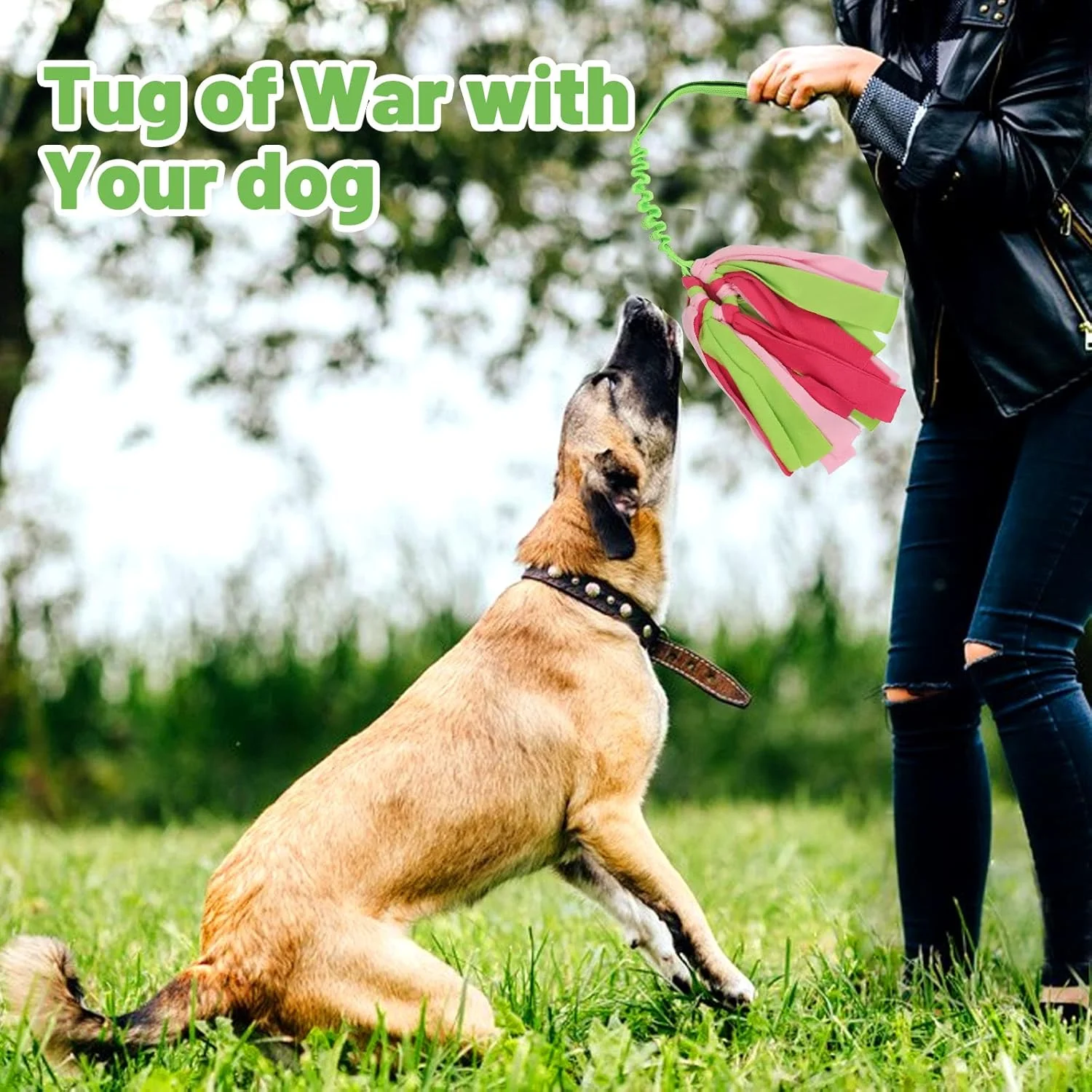 اسباب بازی های تعاملی سگ wodoca، اسباب بازی های طناب سگ برای جویدن تهاجمی، اسباب بازی های حیوانات خانگی برای جویدن سگ - طناب مقاوم برای کشیدن طناب بازی سگ برای بازی های تعاملی توله سگ کوچک و متوسط (سبز) اسباب بازی های تعاملی سگ wodoca، اسباب بازی های طناب سگ برای جویدن تهاجمی، اسباب بازی های حیوانات خانگی برای جویدن سگ - طناب مقاوم برای کشیدن طناب بازی سگ برای بازی های تعاملی توله سگ کوچک و متوسط (سبز)