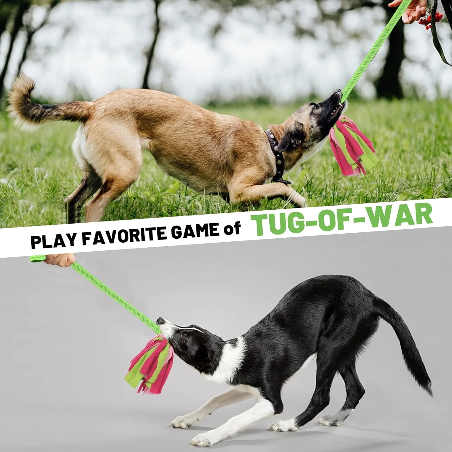 اسباب بازی های تعاملی سگ wodoca، اسباب بازی های طناب سگ برای جویدن تهاجمی، اسباب بازی های حیوانات خانگی برای جویدن سگ - طناب مقاوم برای کشیدن طناب بازی سگ برای بازی های تعاملی توله سگ کوچک و متوسط (سبز) اسباب بازی های تعاملی سگ wodoca، اسباب بازی های طناب سگ برای جویدن تهاجمی، اسباب بازی های حیوانات خانگی برای جویدن سگ - طناب مقاوم برای کشیدن طناب بازی سگ برای بازی های تعاملی توله سگ کوچک و متوسط (سبز)