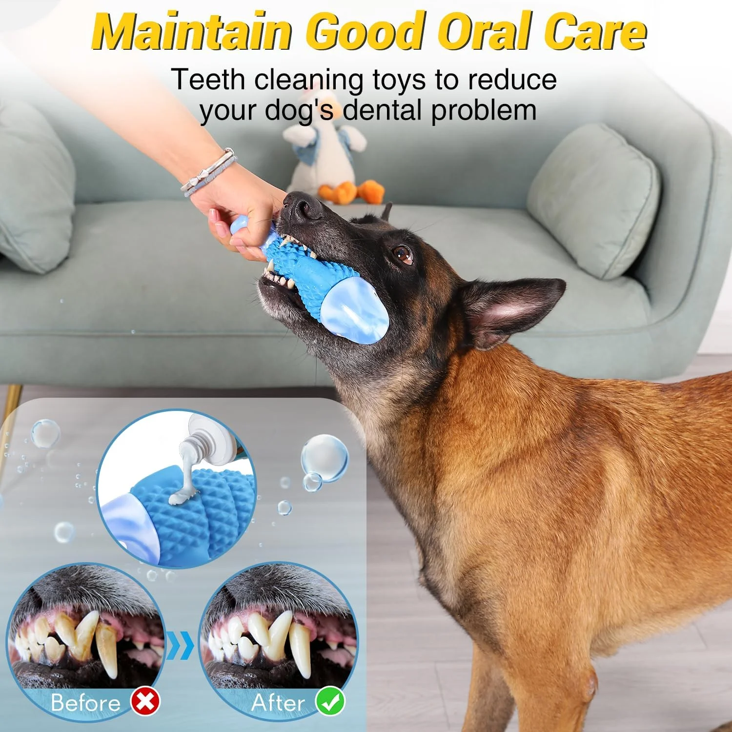 اسباب بازی های سگ WinTour Tough برای جویدن تهاجمی، اسباب بازی های جویدنی سگ های تخریب ناپذیر برای نژادهای متوسط و بزرگ، اسباب بازی های جویدنی بادوام جیر جیر کننده برای مشغول نگه داشتن آنها، کاهش بی حوصلگی، تمیز کردن دندان ها، طعم بیکن اسباب بازی های سگ WinTour Tough برای جویدن تهاجمی، اسباب بازی های جویدنی سگ های تخریب ناپذیر برای نژادهای متوسط و بزرگ، اسباب بازی های جویدنی بادوام جیر جیر کننده برای مشغول نگه داشتن آنها، کاهش بی حوصلگی، تمیز کردن دندان ها، طعم بیکن