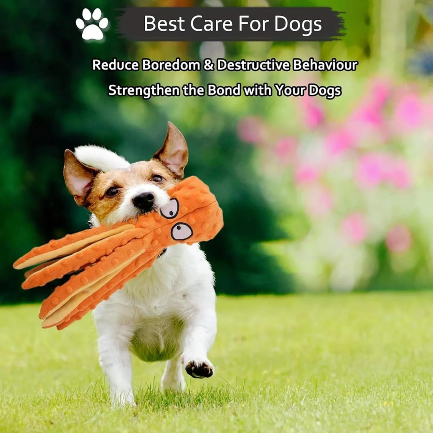 اسباب بازی سگ اختاپوس Whiskerspot، پولیش اختاپوس سازگار با محیط زیست Whiskerspot، اسباب بازی های سگ پولیشی صدادار، اسباب بازی های جویدنی تعاملی بادوام برای سگ های کوچک، متوسط ​​و بزرگ (سبز)