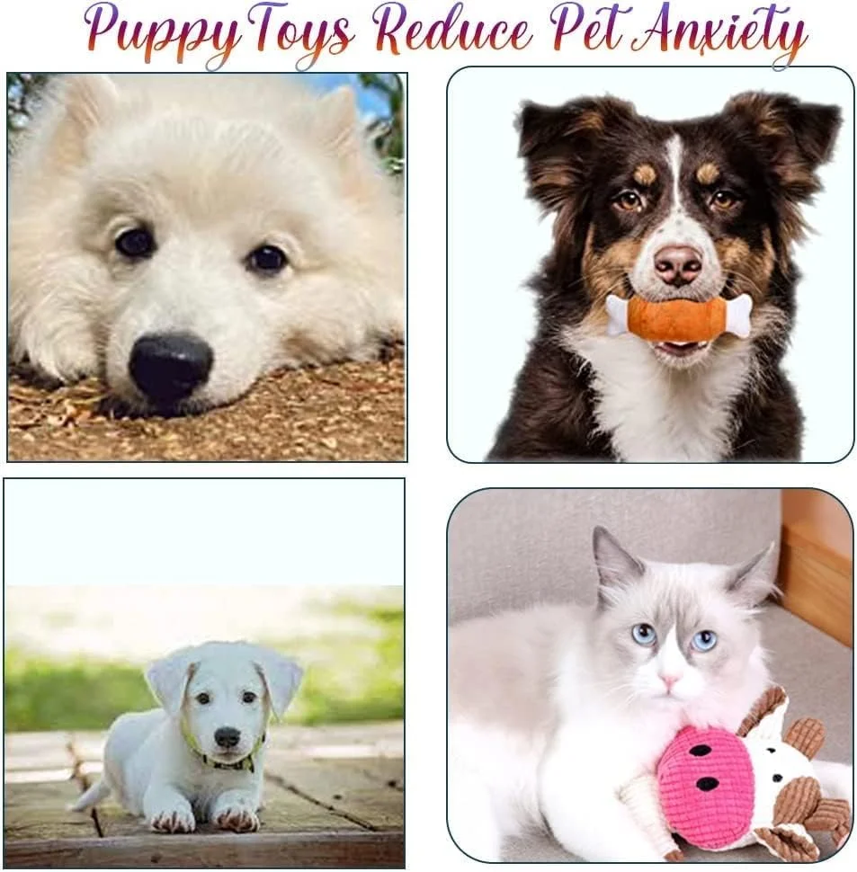 مجموعه اسباب بازی حیوانات خانگی Valuxe برای جویدن تهاجمی، بسته 7 عددی اسباب بازی سگ کوچک اسباب بازی گربه، اسباب بازی های سگ جیر جیر زیبا، اسباب بازی های دندان درآوردن توله سگ بادوام، اسباب بازی های طنابی اسباب بازی های جویدنی توله سگ، غیر سمی و ایمن برای سگ ها و گربه ها مجموعه اسباب بازی حیوانات خانگی Valuxe برای جویدن تهاجمی، بسته 7 عددی اسباب بازی سگ کوچک اسباب بازی گربه، اسباب بازی های سگ جیر جیر زیبا، اسباب بازی های دندان درآوردن توله سگ بادوام، اسباب بازی های طنابی اسباب بازی های جویدنی توله سگ، غیر سمی و ایمن برای سگ ها و گربه ها