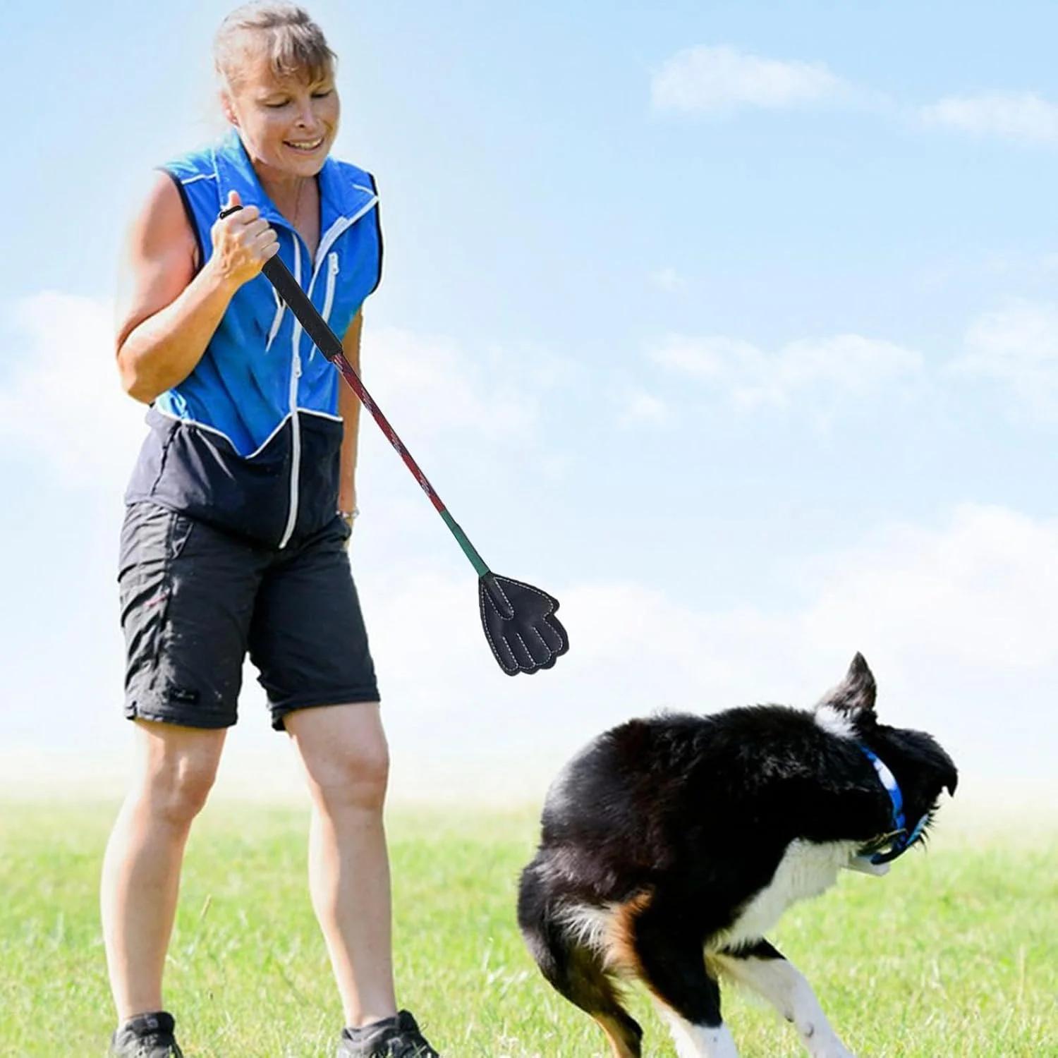 چوب آموزشی حیوانات خانگی | چوب بازی قابل حمل برای سگ های کوچک، چوب آموزشی چند منظوره، لوازم حیوانات خانگی خانگی، تجهیزات آموزش حیوانات خانگی برای فروشگاه حیوانات خانگی