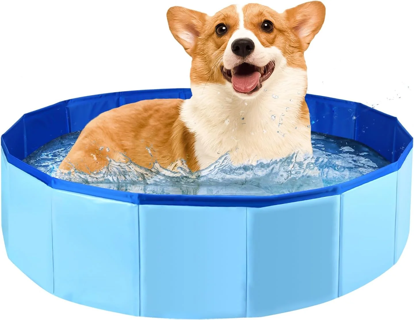 استخر تاشو سگ Totolee، 60 سانتی متر در 20 سانتی متر، وان حمام سگ قابل حمل، وان حمام سگ پلاستیکی، استخر شنای حیوانات خانگی سگ PVC، گودال شن و ماسه سرپوشیده، گودال توپ تاشو برای سگ ها و گربه های کوچک استخر تاشو سگ Totolee، 60 سانتی متر در 20 سانتی متر، وان حمام سگ قابل حمل، وان حمام سگ پلاستیکی، استخر شنای حیوانات خانگی سگ PVC، گودال شن و ماسه سرپوشیده، گودال توپ تاشو برای سگ ها و گربه های کوچک