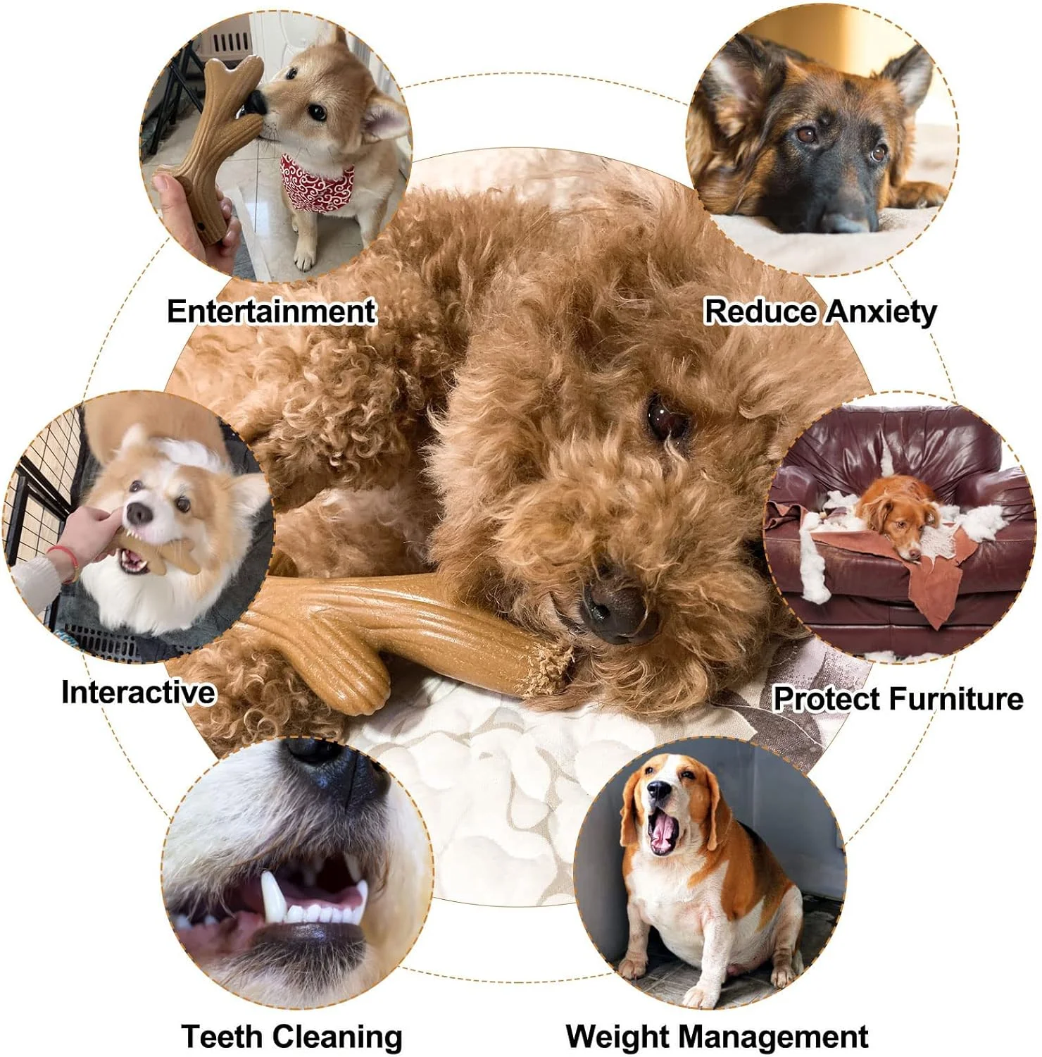 اسباب بازی های جویدنی شاخ گوزن سفت برای دندان درآوردن، استخوان های جویدنی توله سگ با ماندگاری طولانی برای جویدن تهاجمی، دندان گیر چوبی کاج گربه غیرقابل تخریب، چوب جویدنی قوی Dogwood برای نژاد کوچک و متوسط (قهوه ای روشن)