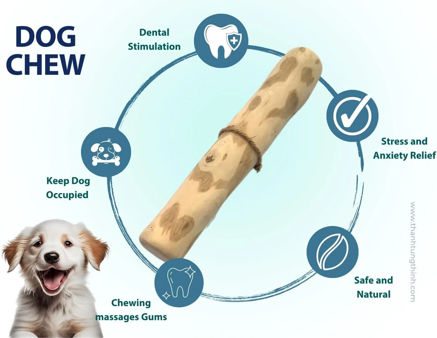 چوب جویدنی قهوه مخصوص سگ THATUWOOD - چوب قهوه برای حیوانات خانگی شما - غیر سمی - ایمن - اسباب بازی جویدنی توله سگ برای دندان درآوردن - ساخت ویتنام - 1 بسته / 2 عدد (کوچک)