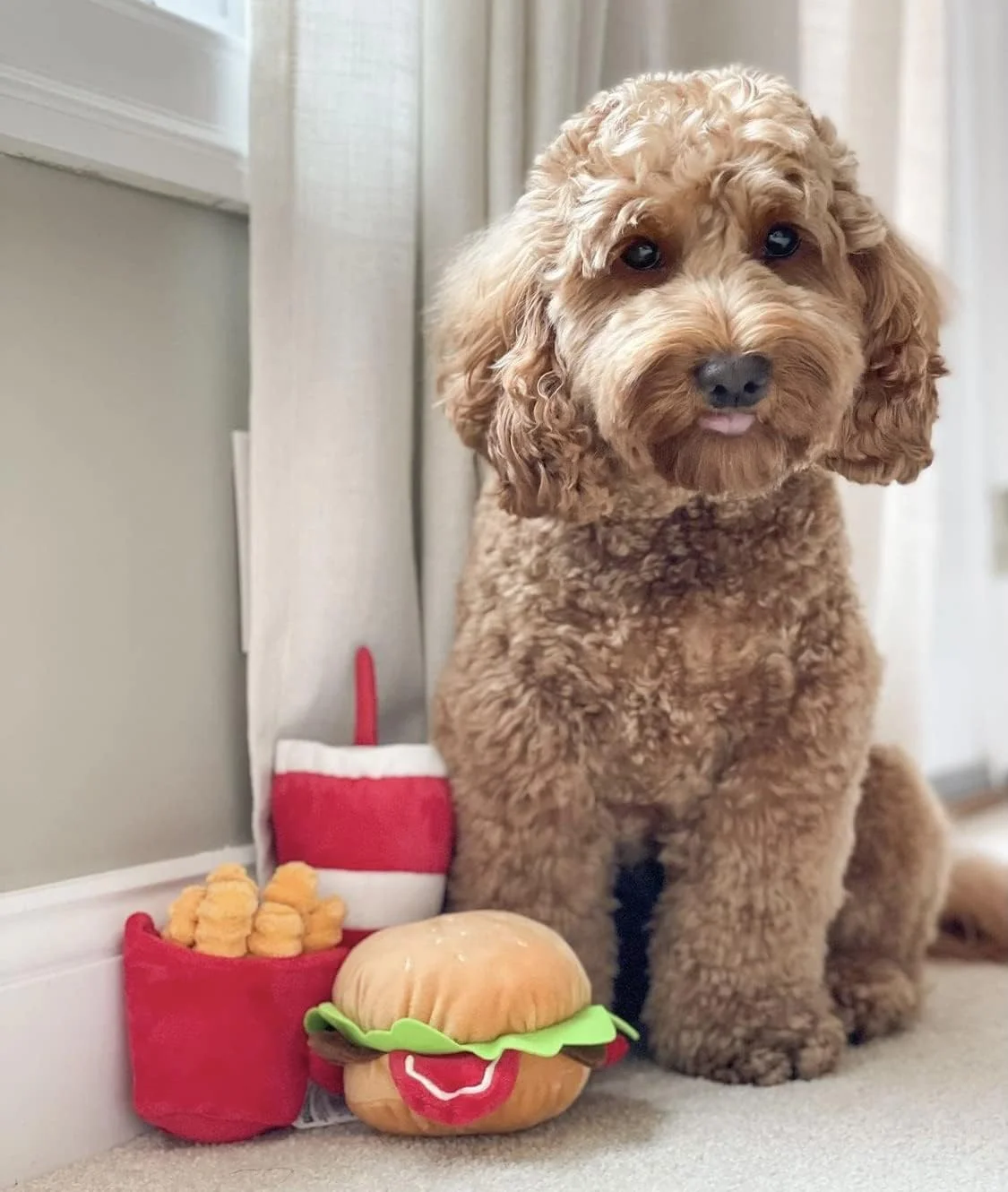 ست اسباب بازی سگ تومبو مدل Happy Chow - اسباب بازی های پولیشی جیرجیردار، برگر، سیب زمینی سرخ کرده، نوشابه (ست Happy Chow)