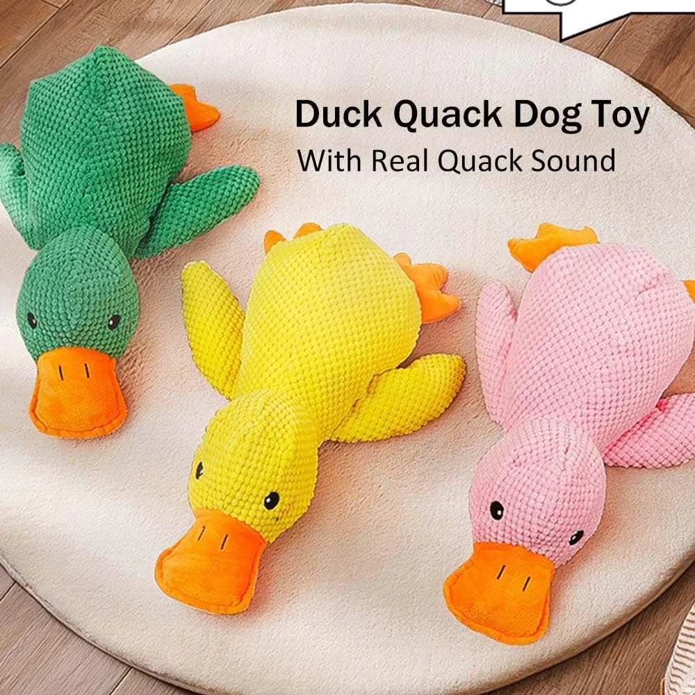 اسباب بازی سگ اردک TaboSi Zentric Quack-Quack، اسباب بازی کلاسیک سگ اردک صدادار، اسباب بازی سگ اردک پولیشی با صدای جیر جیر، اسباب بازی جویدنی حیوانات عروسکی سگ، اسباب بازی های دندانی آموزشی و تعاملی برای سگ ها (زرد)