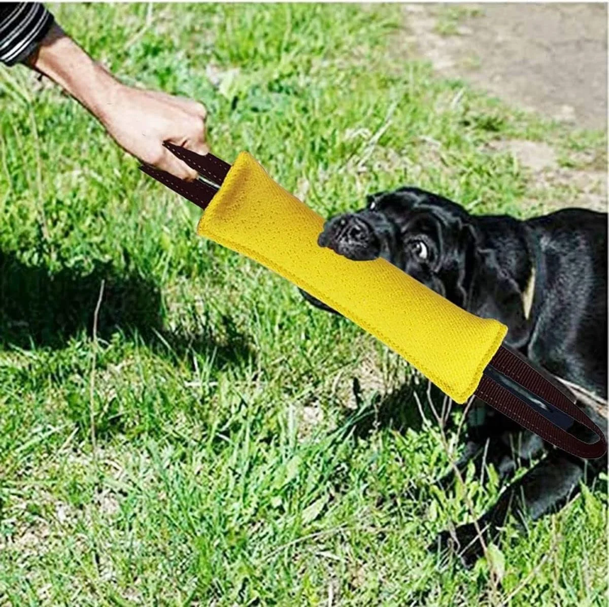 اسباب بازی کششی سگ SYOSI، بالش گاز گرفتن سگ از جنس جوت با 2 دسته محکم، مناسب برای طناب کشی، بازی تعاملی آموزش توله سگ، اسباب بازی های بادوام آموزش گاز گرفتن برای سگ های متوسط ​​تا بزرگ (زرد)