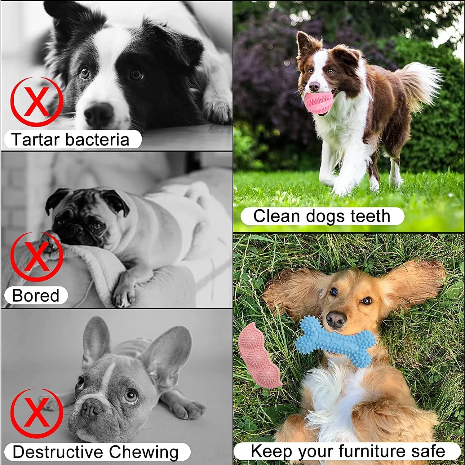 اسباب بازی های جویدنی دندان درآوردن توله سگ SYOSI برای سگ های کوچک - حلقه های لاستیکی تعاملی، جویدنی ها، توپ، استخوان - تمیز کردن دندان ها، تسکین خارش - اسباب بازی دندان درآوردن حیوانات خانگی 6 عددی