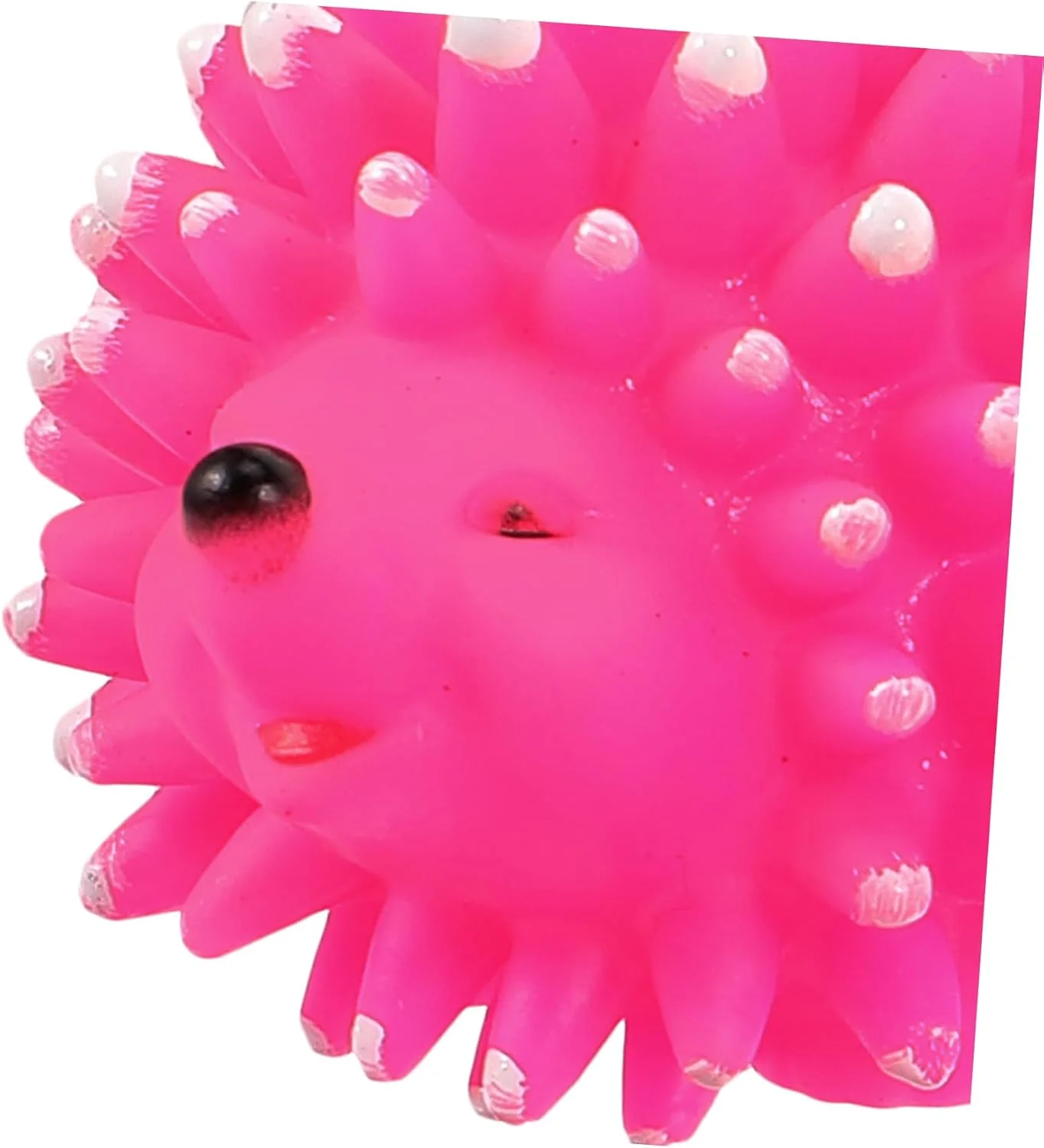 SUPVOX 2 عدد اسباب بازی جوجه تیغی حیوانات خانگی، اسباب بازی های سگ جیر جیر کننده، اسباب بازی های دندانی حیوانات خانگی، اسباب بازی جوجه تیغی سگ، اسباب بازی پرتاب سگ، اسباب بازی های کارتونی لاتکس (رنگ تصادفی)