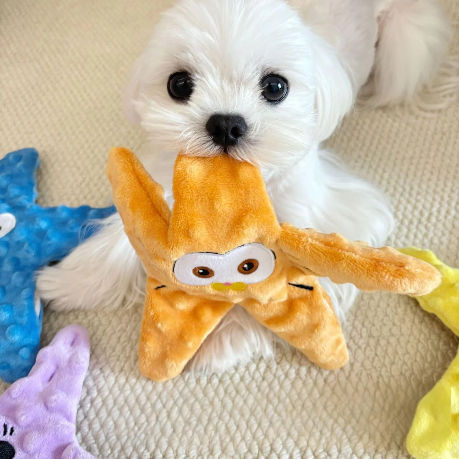 اسباب بازی های سگ بدون الیاف با صدای جیر جیر برای همه نژادها، اسباب بازی های جویدنی بادوام و صدا دار برای توله سگ ها، اسباب بازی های تعاملی حیوانات خانگی برای سرگرم نگه داشتن سگ ها (4 عدد)