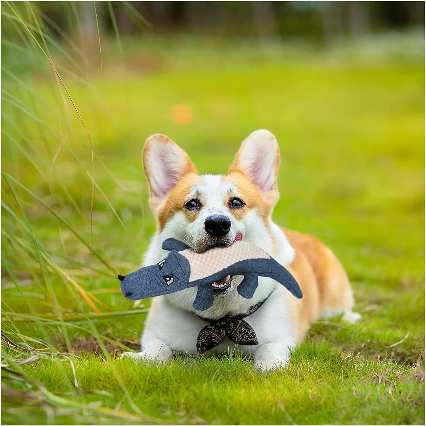 اسباب بازی جویدنی حیوانات خانگی، اسباب بازی های پولیشی صدادار، اسباب بازی پازلی آموزشی دندان، اسباب بازی جویدنی نرم پنبه ای به شکل تمساح، اسباب بازی های تعاملی خنده دار و بادوام برای آموزش و بازی سگ های کوچک و متوسط