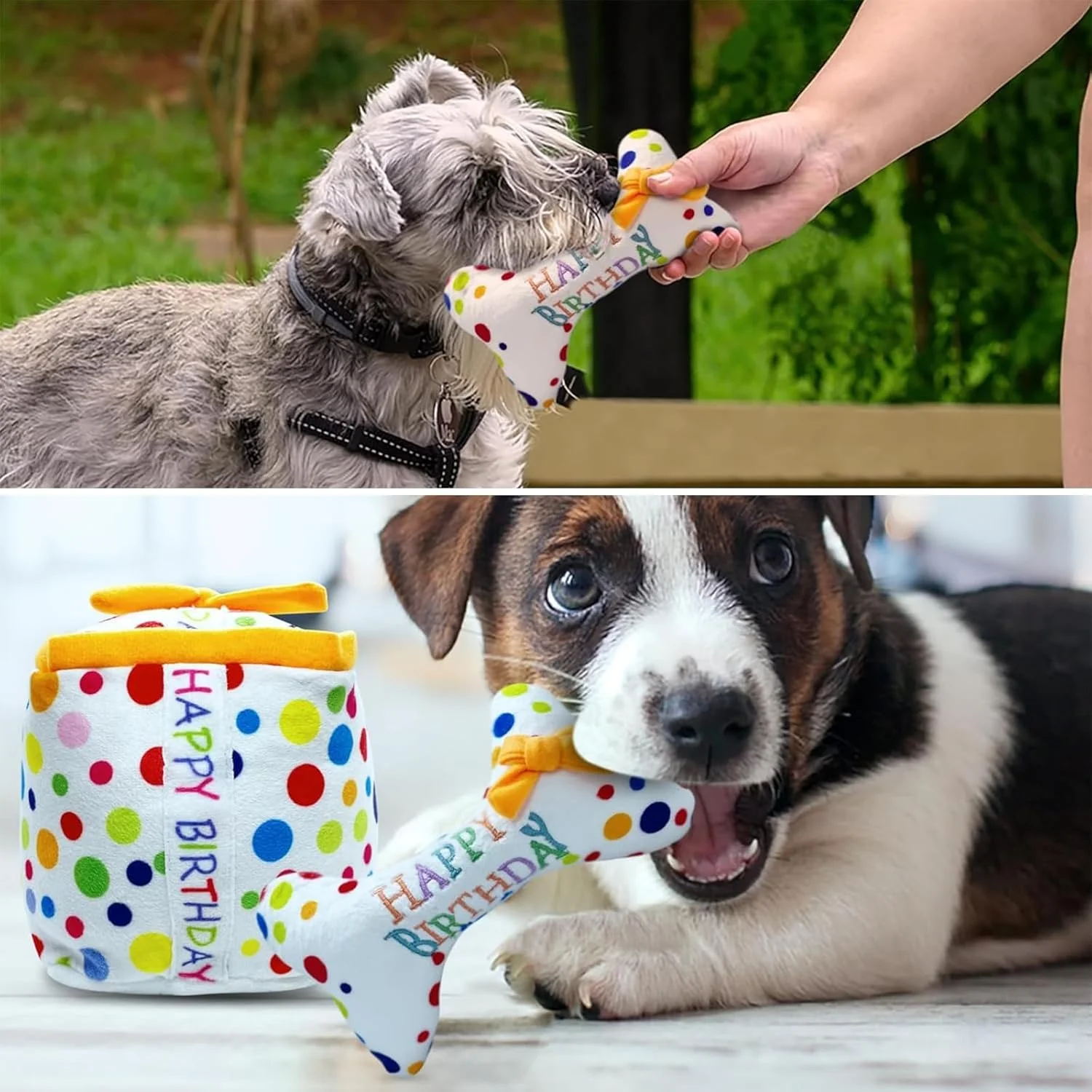 اسباب بازی های جیر جیر کننده برای سگ ها، بسته 3 عددی اسباب بازی های جیر جیر کننده پولیشی، کیک تولد و جعبه هدیه استخوان، اسباب بازی های جویدنی تعاملی سرگرم کننده برای سگ های کوچک و متوسط، هدایای مهمانی تولد توله سگ ایمن