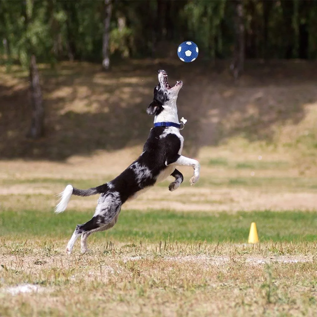 توپ بازی سگ، توپ نرم و صدا دار سگ، توپ بزرگ لاستیکی طبیعی برای سگ ها، 9.5 سانتی متر